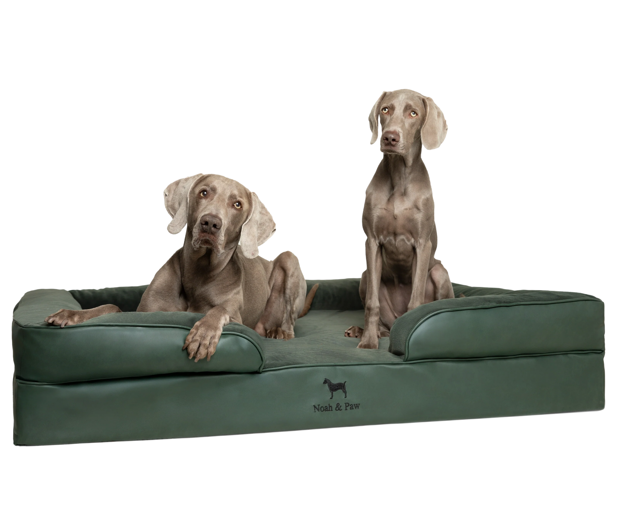 Orthopedic Faux Leather Pet Bed Sofa Style - Dark Green - XXL