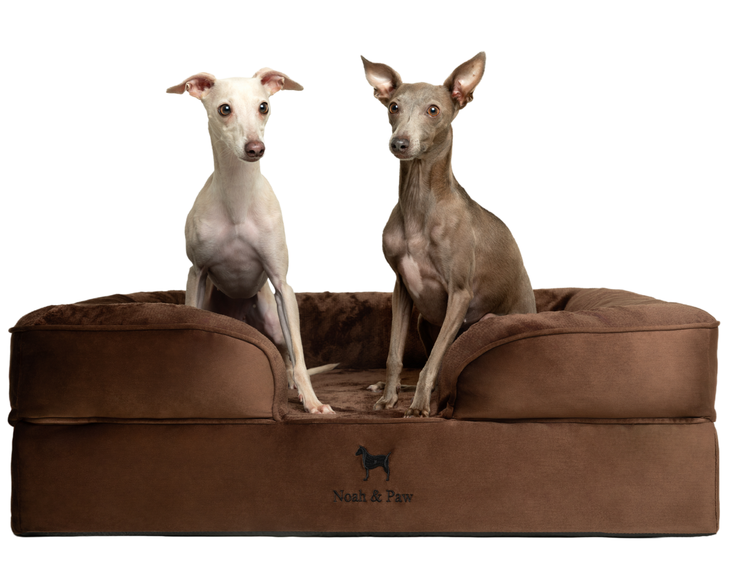 Velvet, Orthopedic Pet Bed, Sofa Style - Brown - L