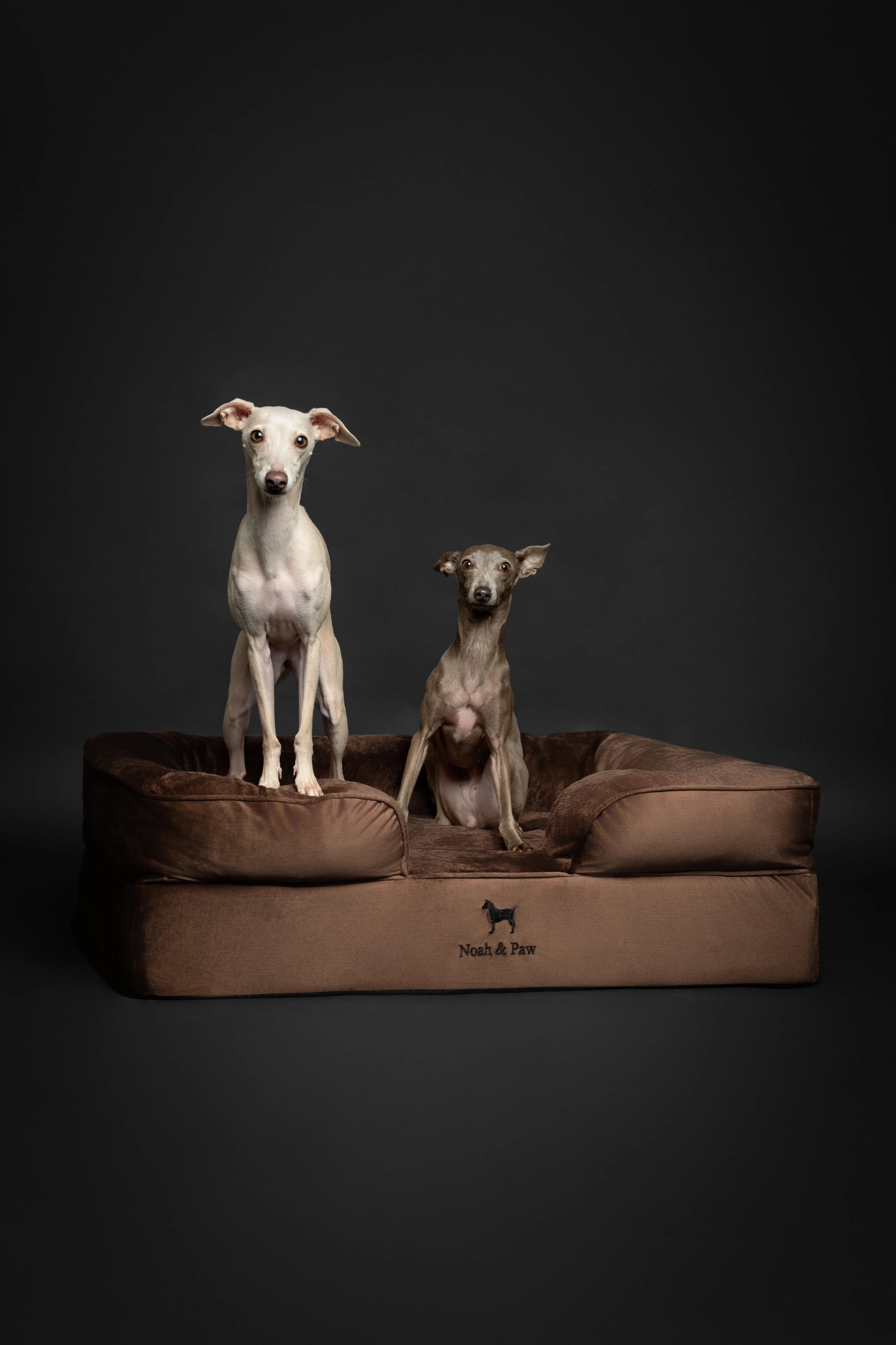 Velvet Orthopedic Pet Bed, Memory Foam, Infused with Cooling Gel