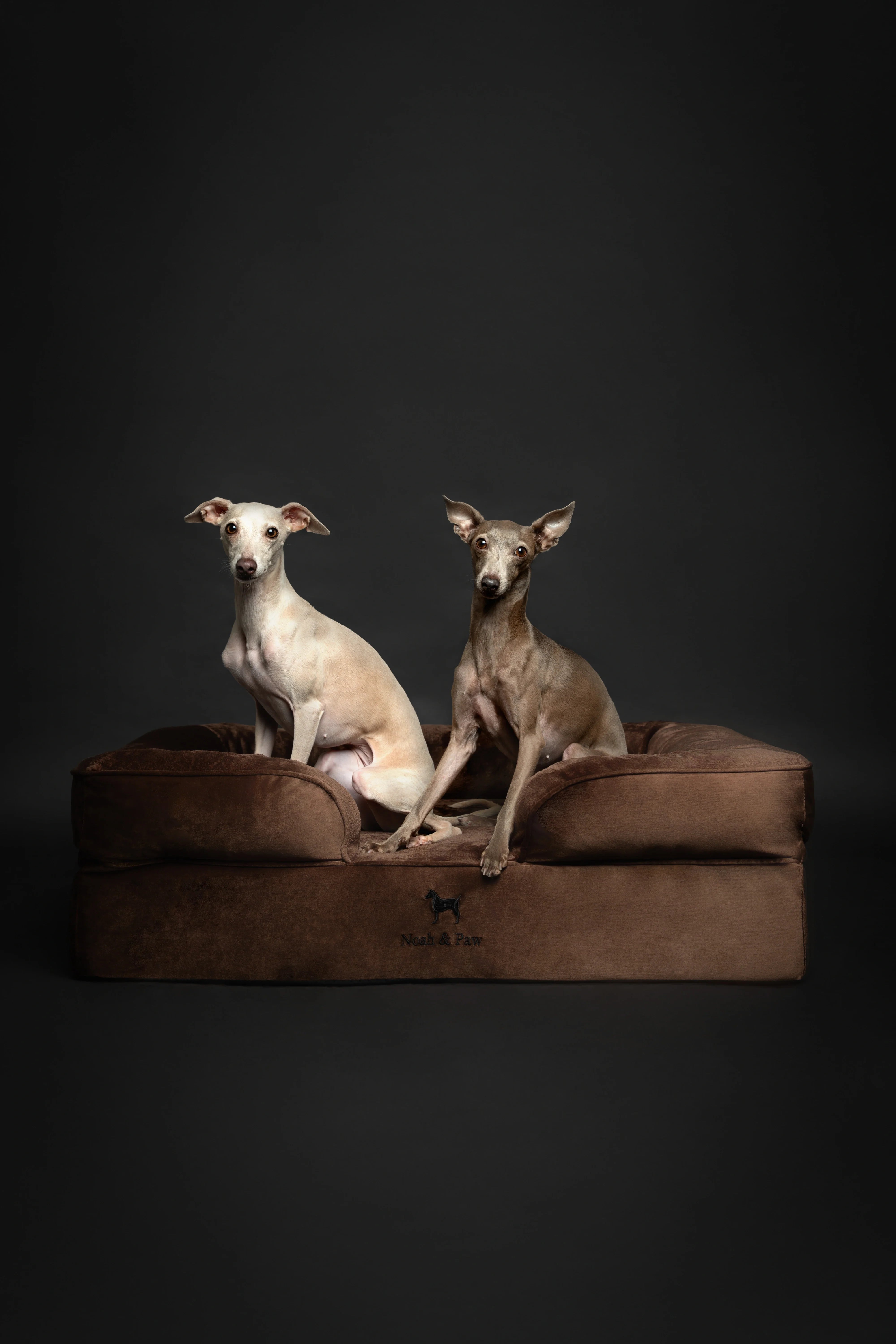 Velvet Orthopedic Pet Bed, Memory Foam, Infused with Cooling Gel