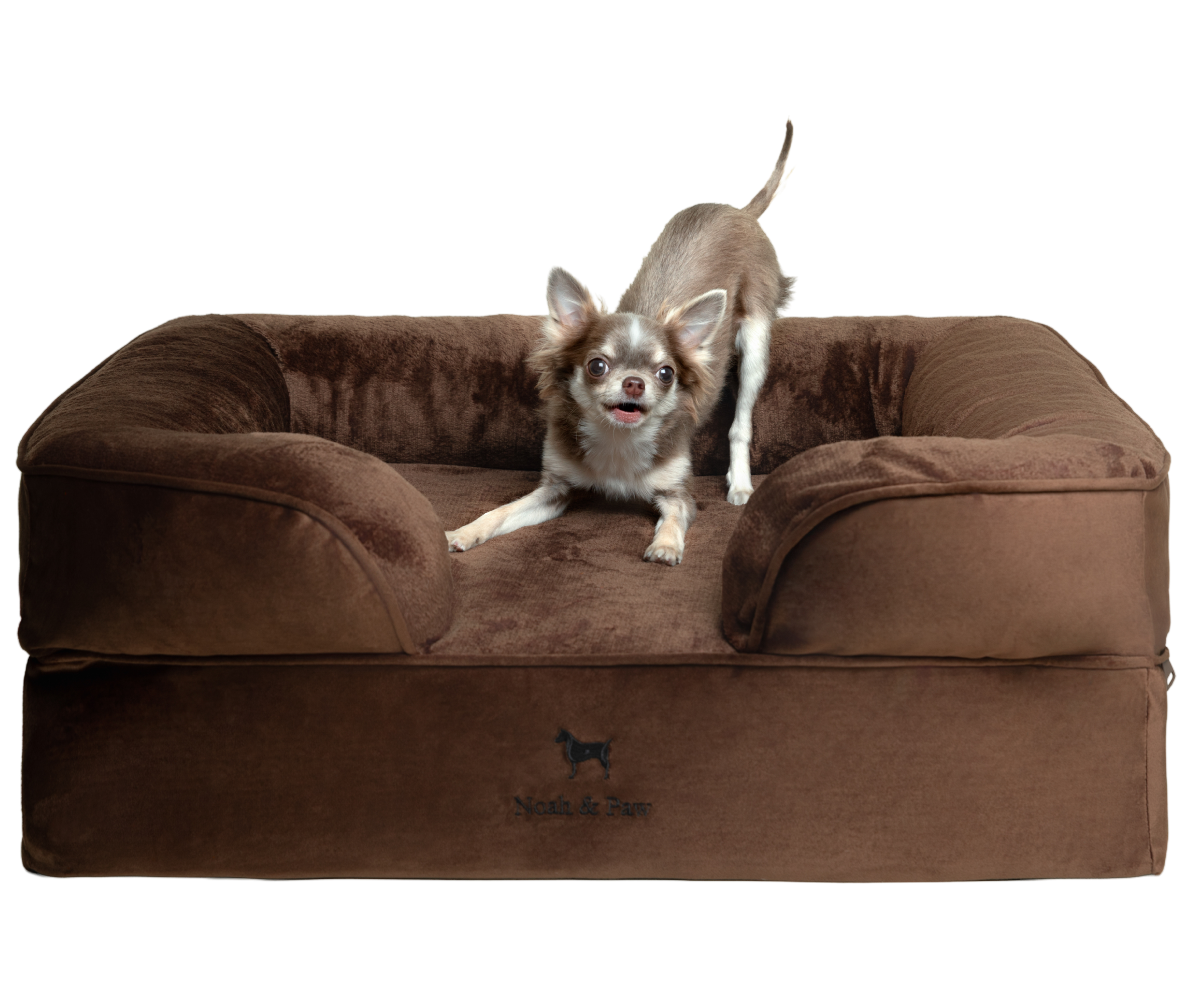 Velvet, Orthopedic Pet Bed, Sofa Style - Brown - M