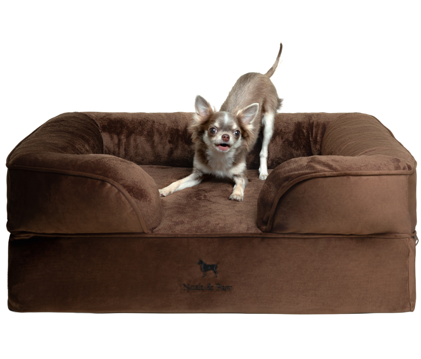 Velvet, Orthopedic Pet Bed, Sofa Style - Brown - M