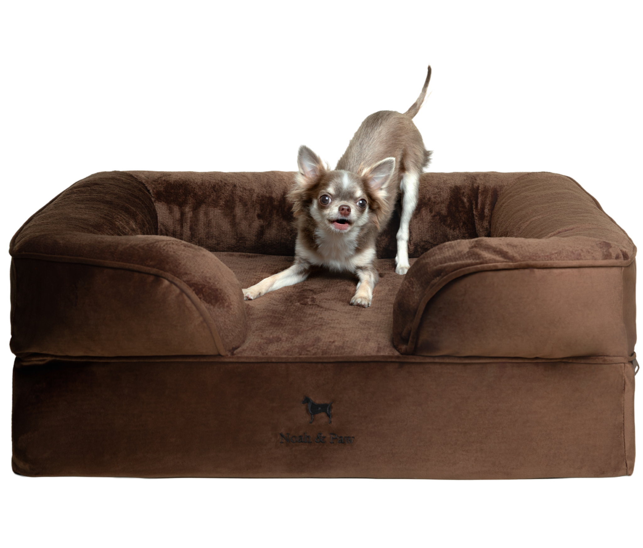 Velvet, Orthopedic Pet Bed, Sofa Style - Brown - M