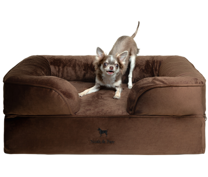 Velvet, Orthopedic Pet Bed, Sofa Style - Brown - M