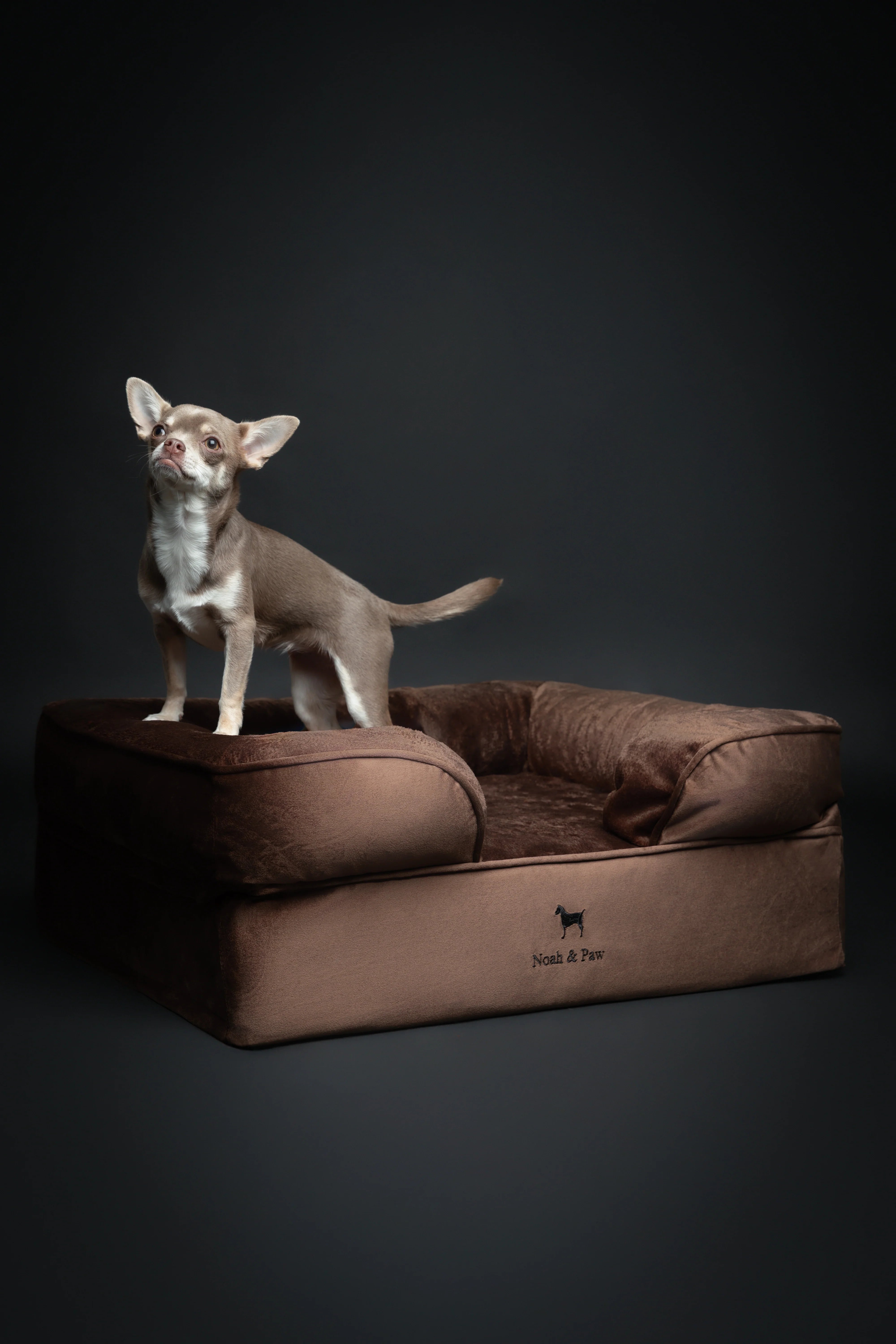Velvet Orthopedic Pet Bed, Memory Foam, Infused with Cooling Gel