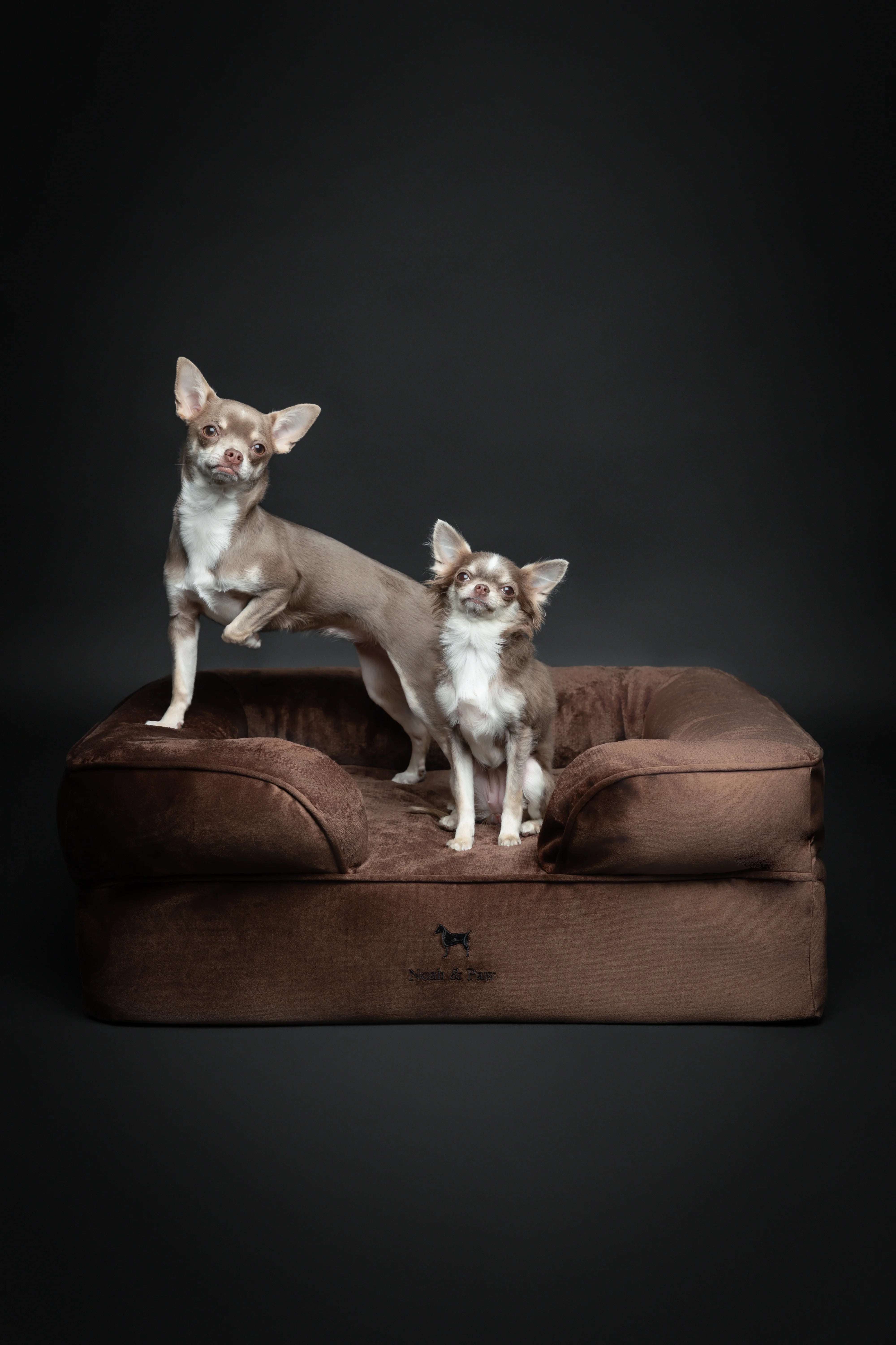 Velvet Orthopedic Pet Bed, Memory Foam, Infused with Cooling Gel