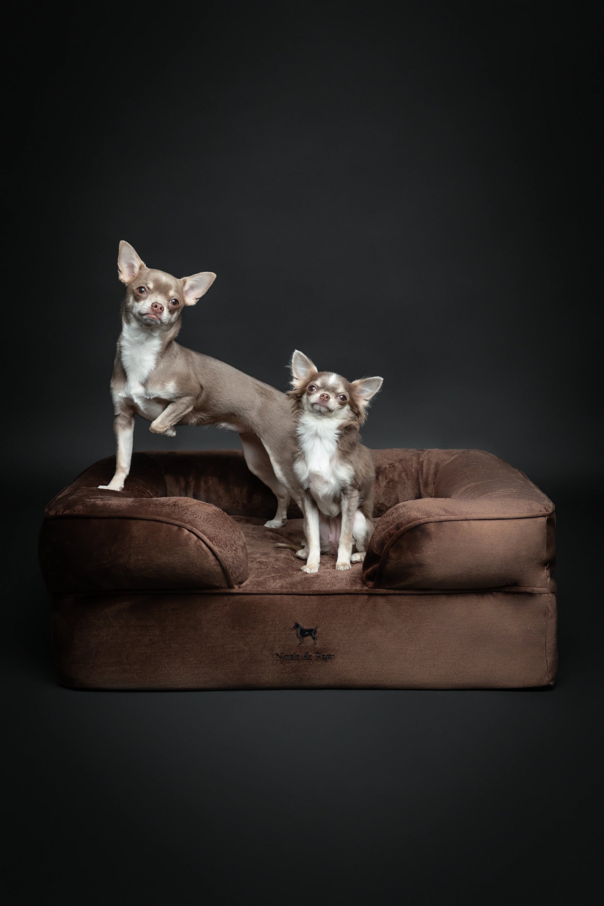 Velvet Orthopedic Pet Bed, Memory Foam, Infused with Cooling Gel