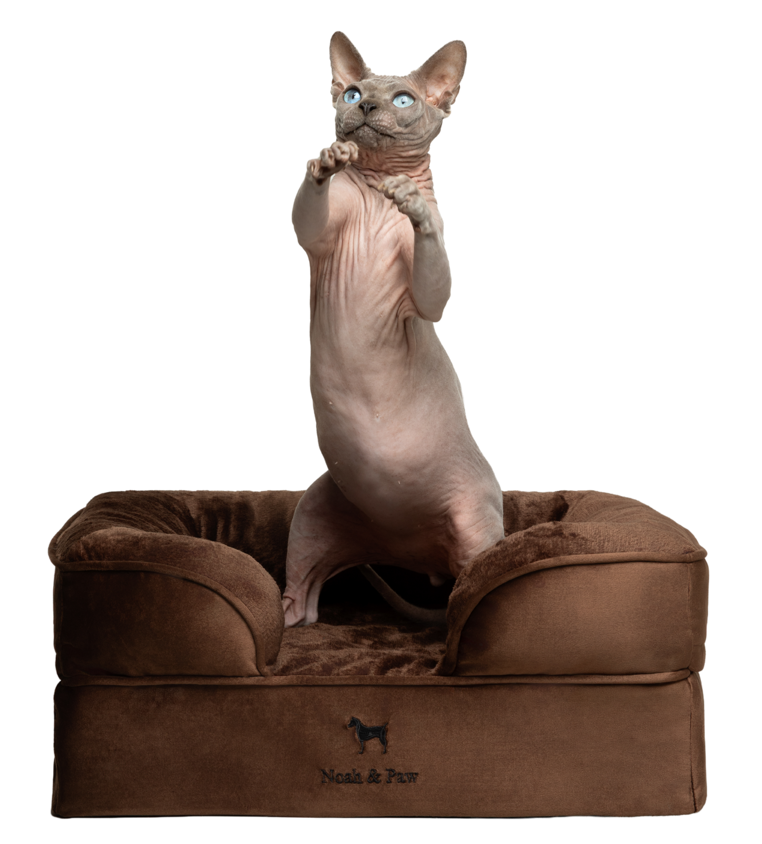 Velvet, Orthopedic Pet Bed, Sofa Style - Brown - S