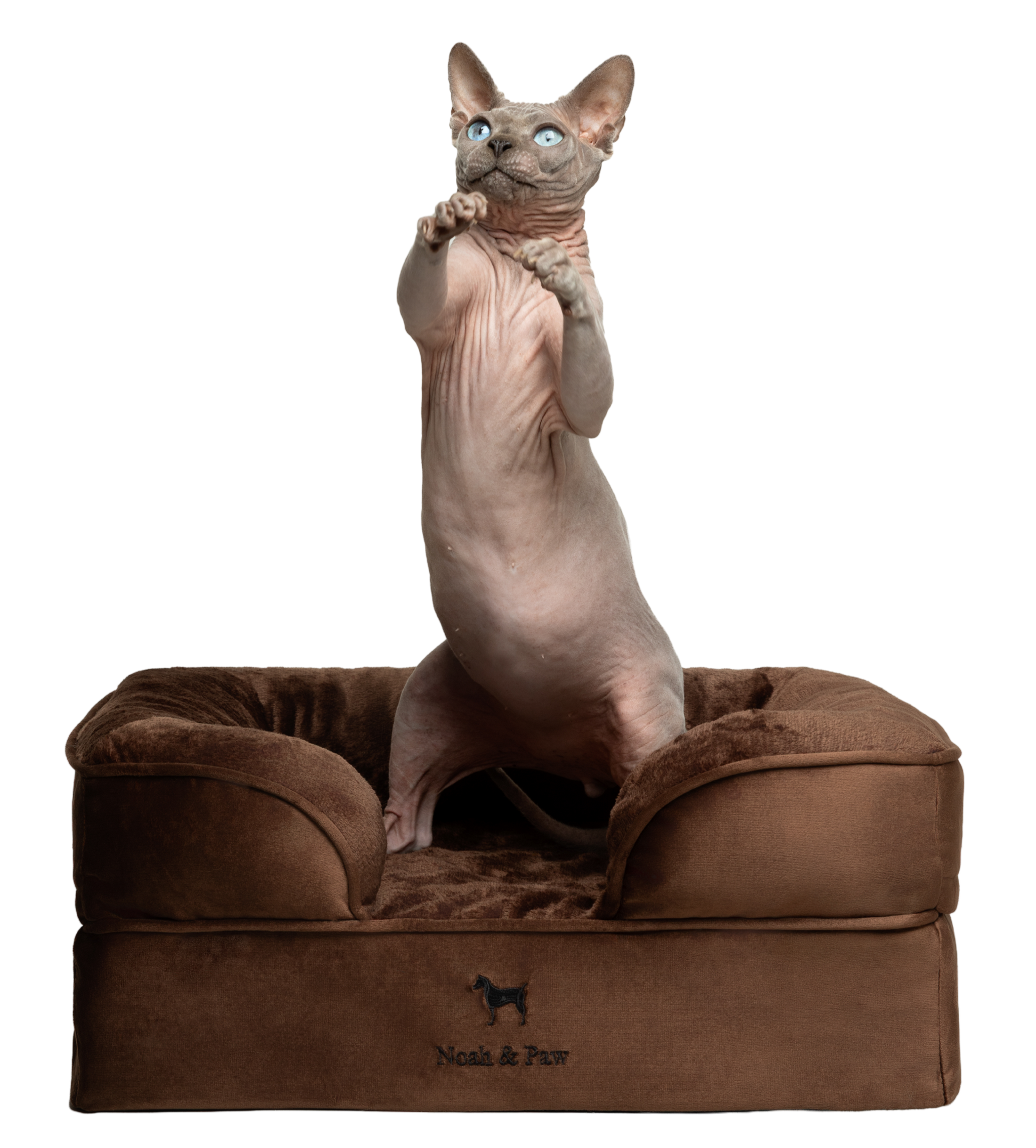 Velvet, Orthopedic Pet Bed, Sofa Style - Brown - S