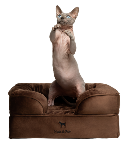 Velvet, Orthopedic Pet Bed, Sofa Style - Brown - S