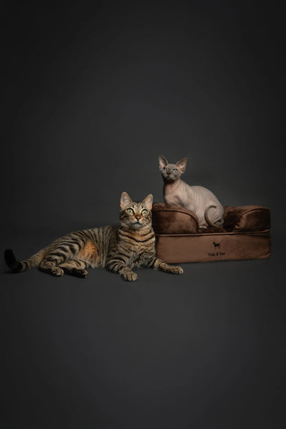 Velvet Orthopedic Pet Bed, Memory Foam, Infused with Cooling Gel