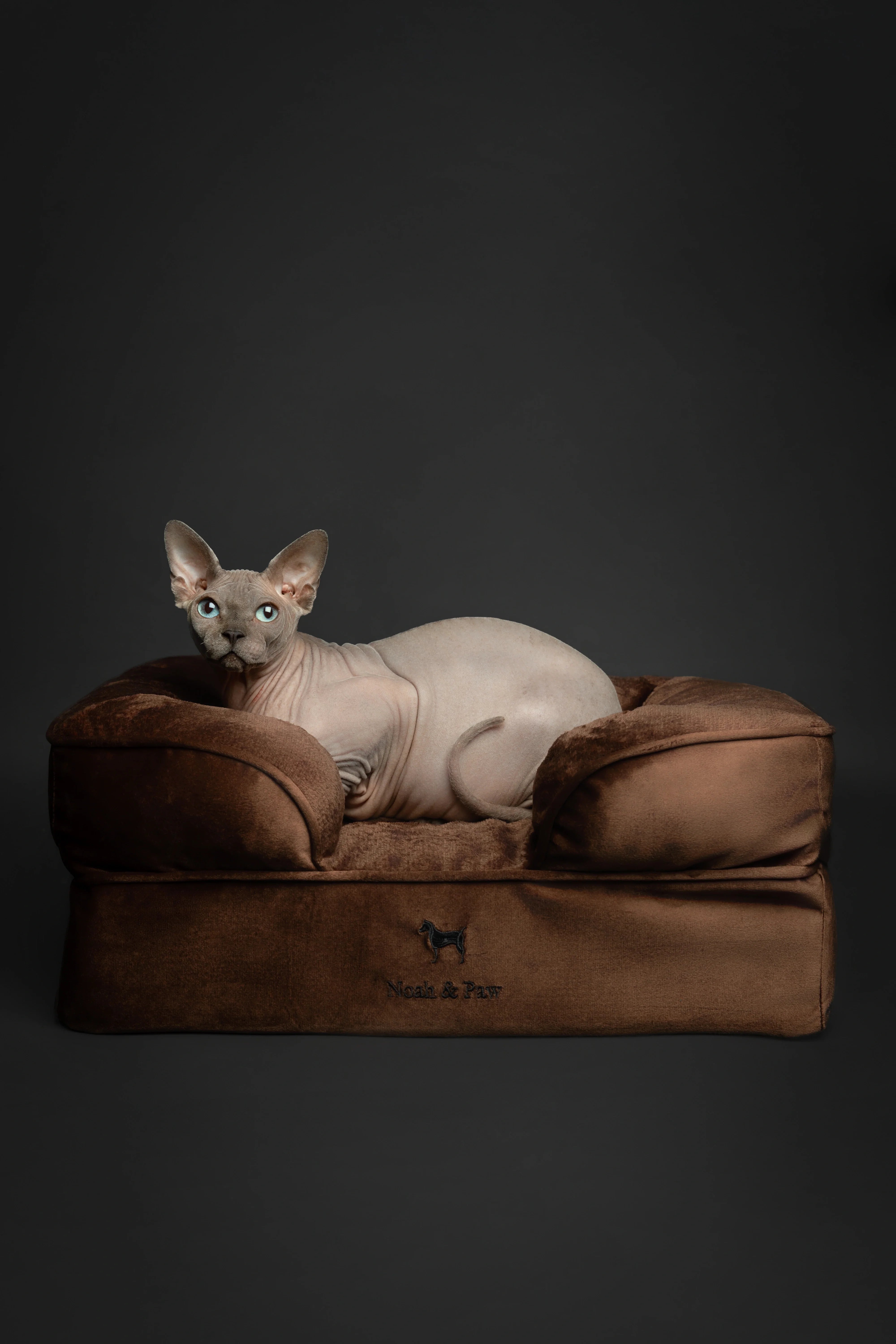 Velvet Orthopedic Pet Bed, Memory Foam, Infused with Cooling Gel
