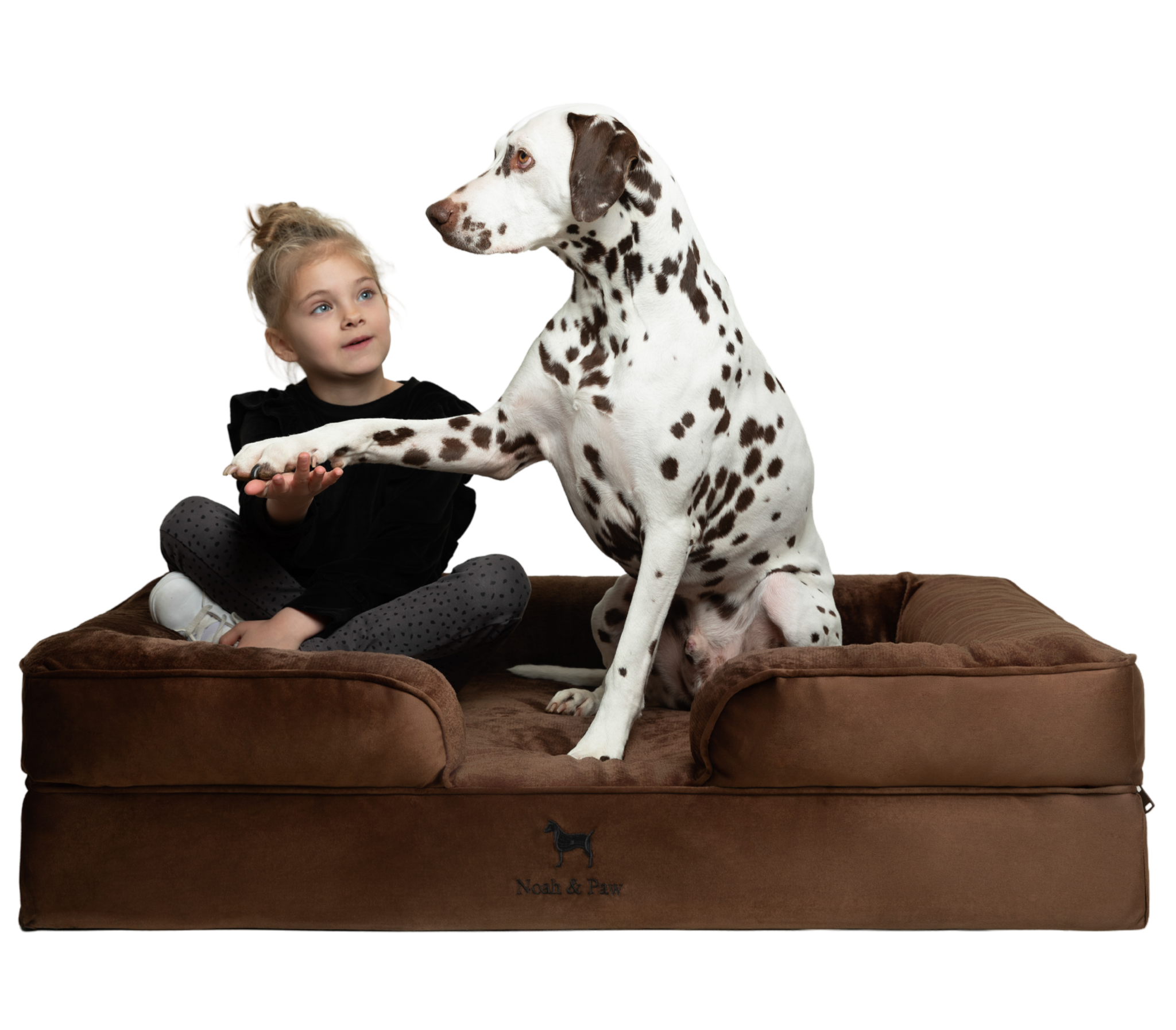Velvet, Orthopedic Pet Bed, Sofa Style - Brown - XL