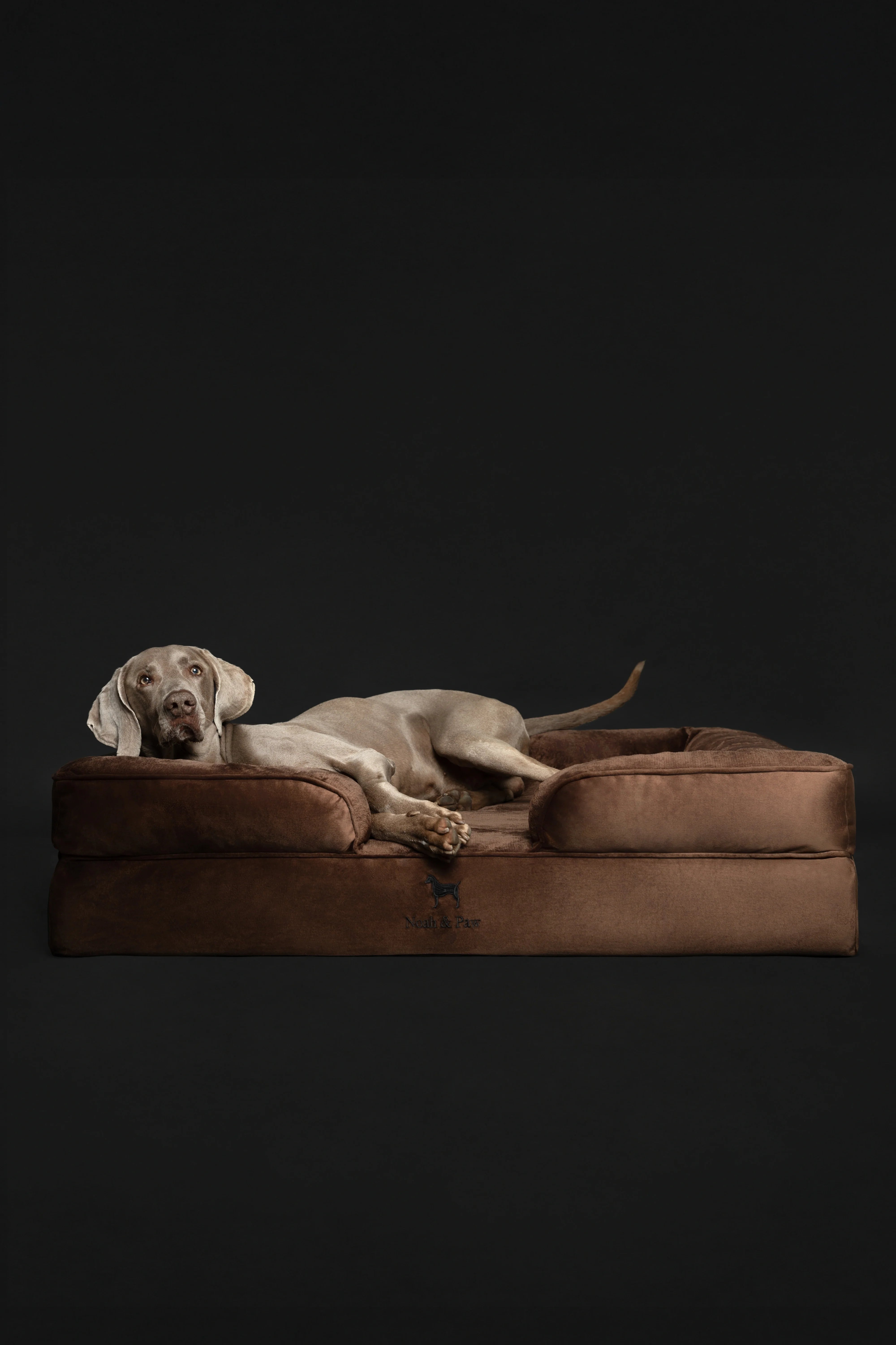 Velvet Orthopedic Pet Bed, Memory Foam, Infused with Cooling Gel