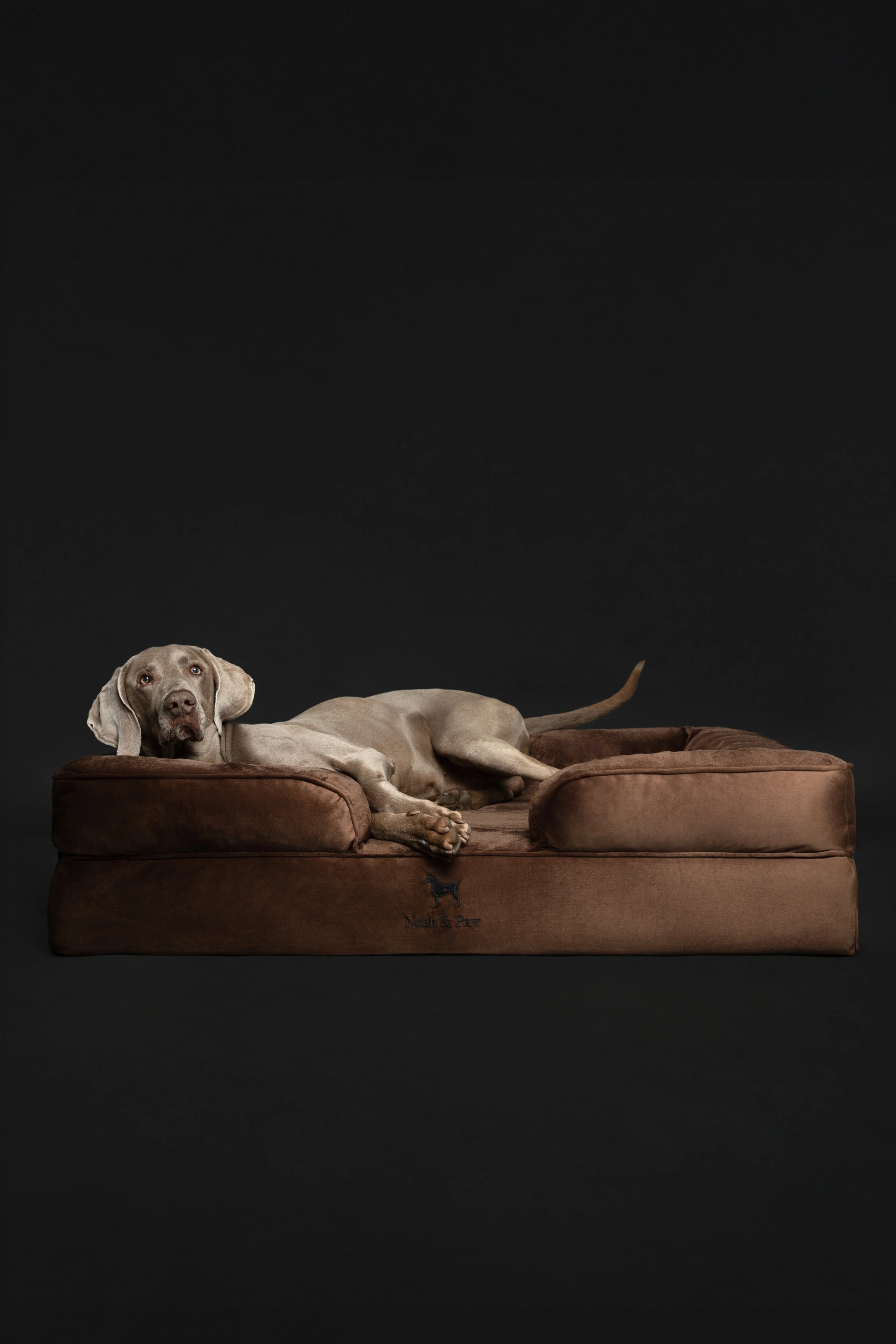 Velvet Orthopedic Pet Bed, Memory Foam, Infused with Cooling Gel