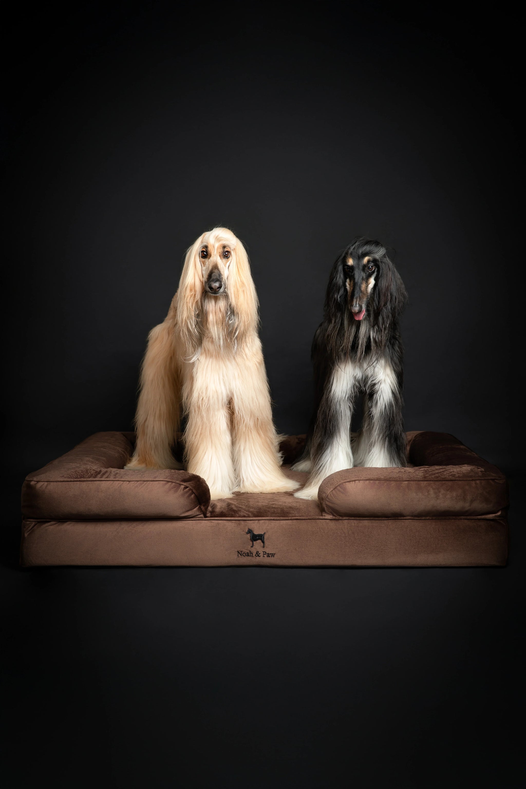 Velvet Orthopedic Pet Bed, Memory Foam, Infused with Cooling Gel