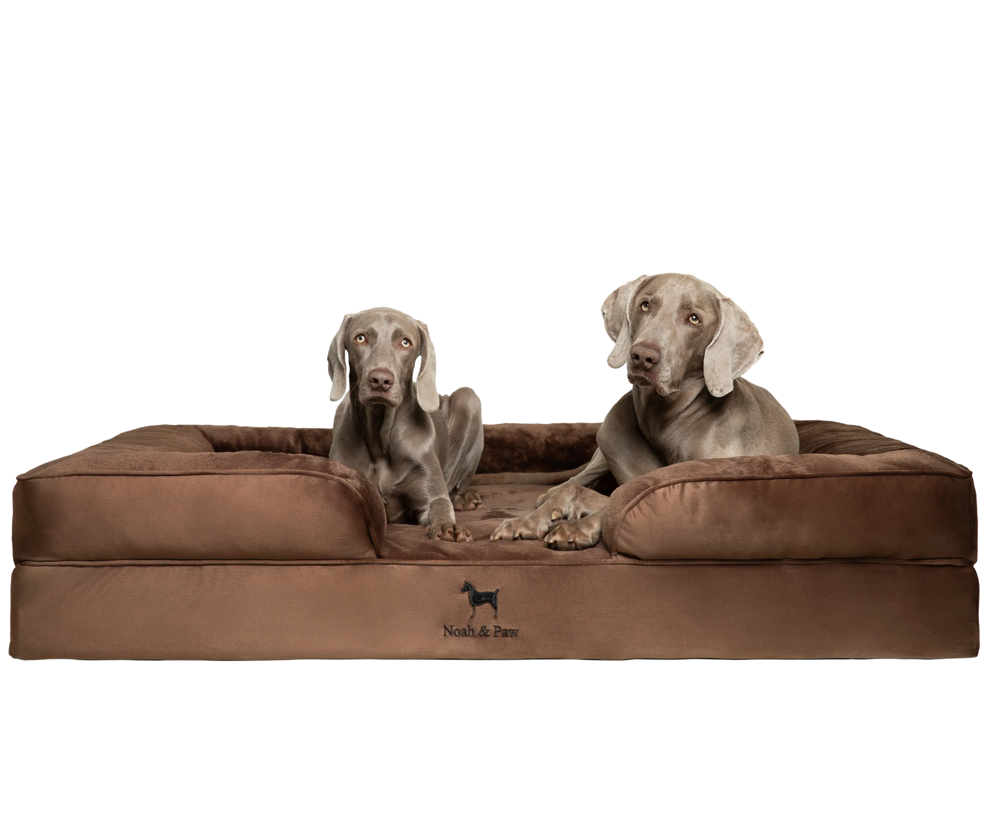 Velvet, Orthopedic Pet Bed, Sofa Style - Brown - XXL