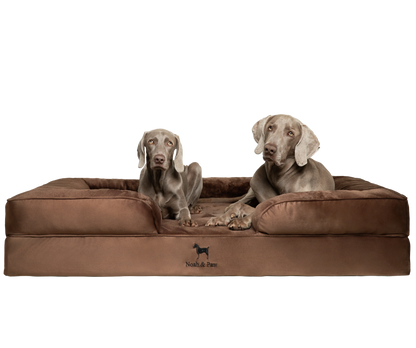 Velvet, Orthopedic Pet Bed, Sofa Style - Brown - XXL