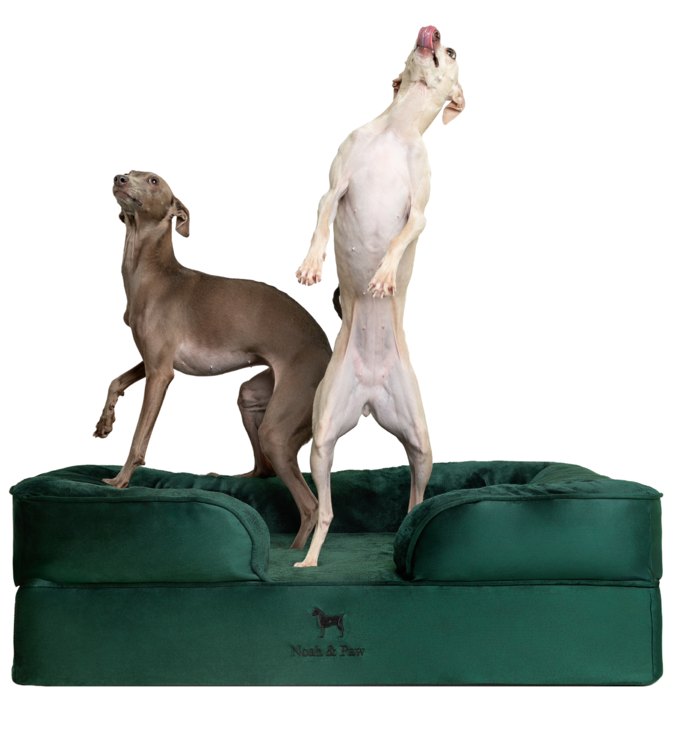 Velvet, Orthopedic Pet Bed, Sofa Style - Dark Green - L