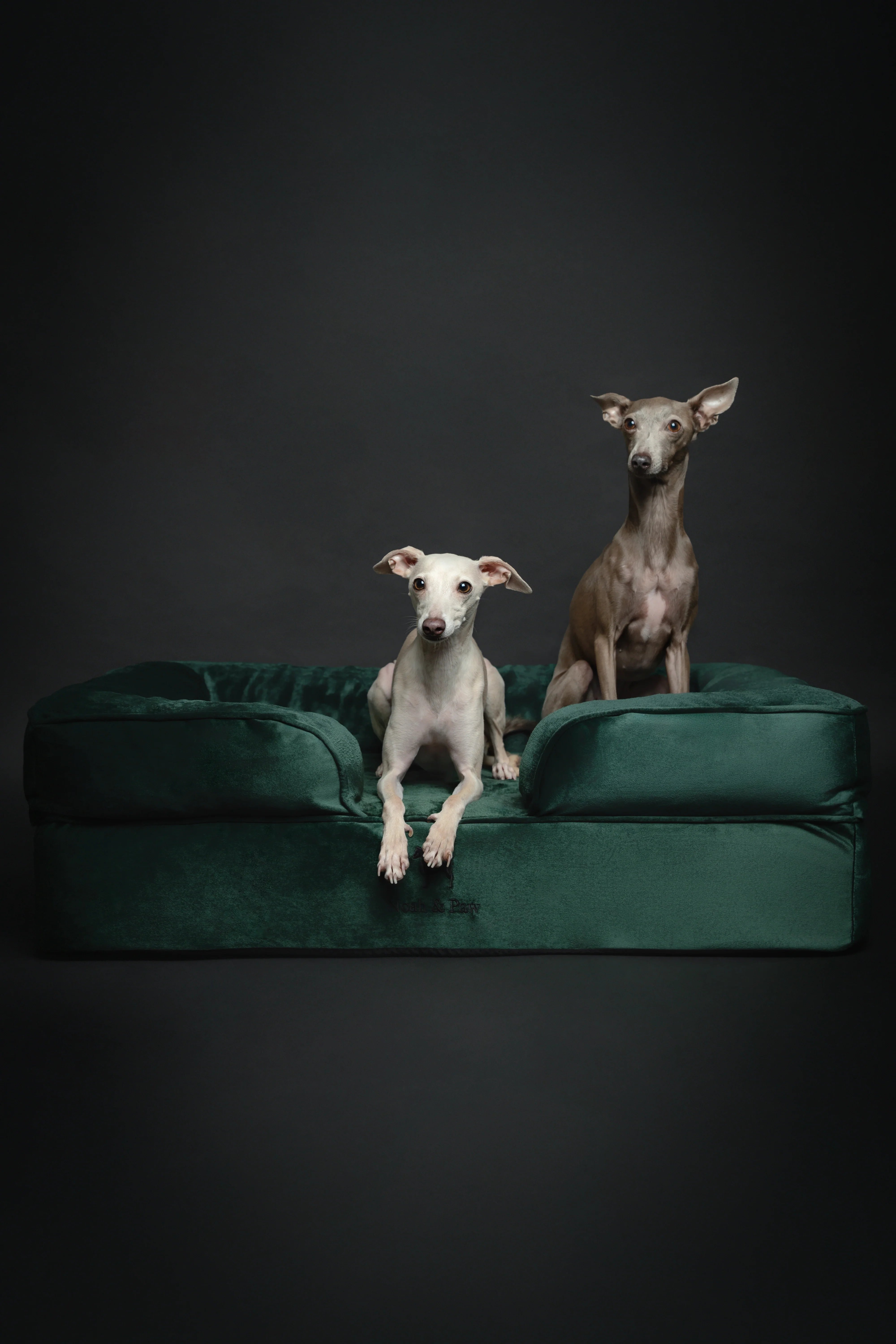 Velvet Orthopedic Pet Bed, Memory Foam, Infused with Cooling Gel