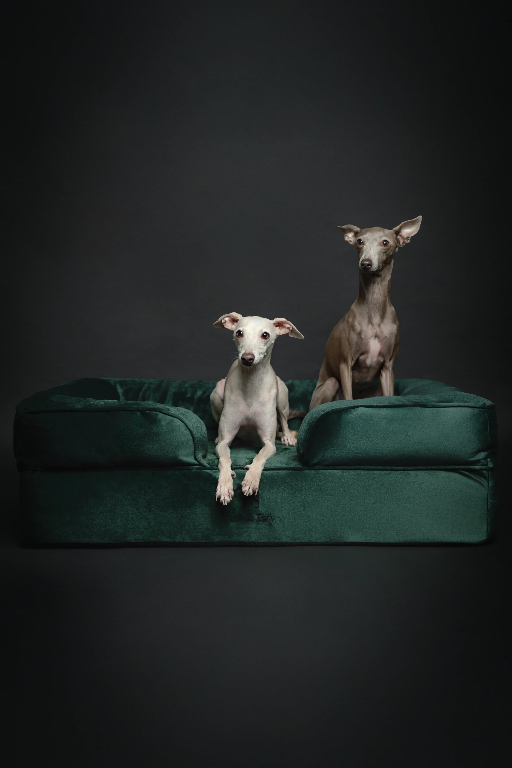 Velvet Orthopedic Pet Bed, Memory Foam, Infused with Cooling Gel