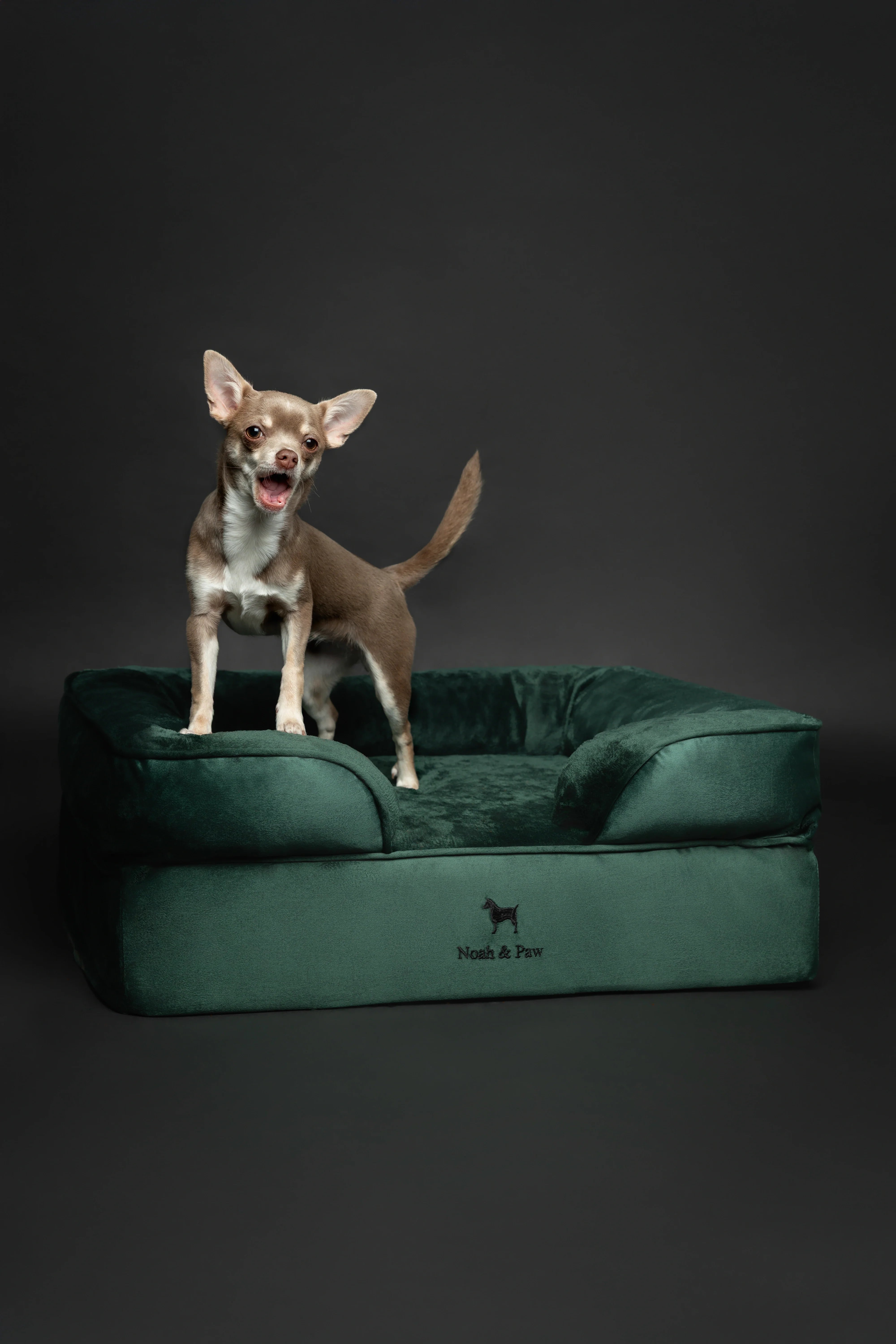 Velvet Orthopedic Pet Bed, Memory Foam, Infused with Cooling Gel