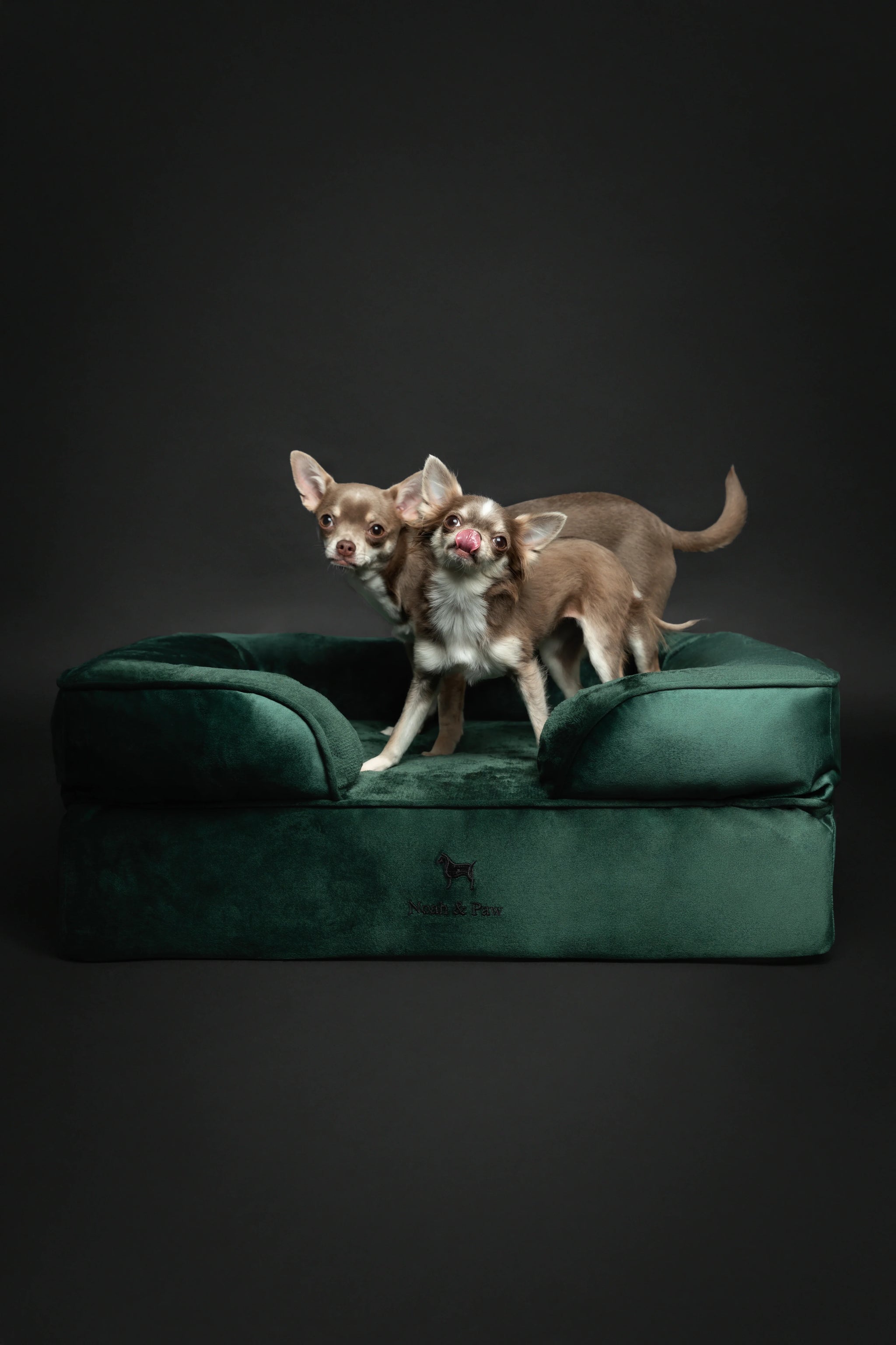 Velvet Orthopedic Pet Bed, Memory Foam, Infused with Cooling Gel