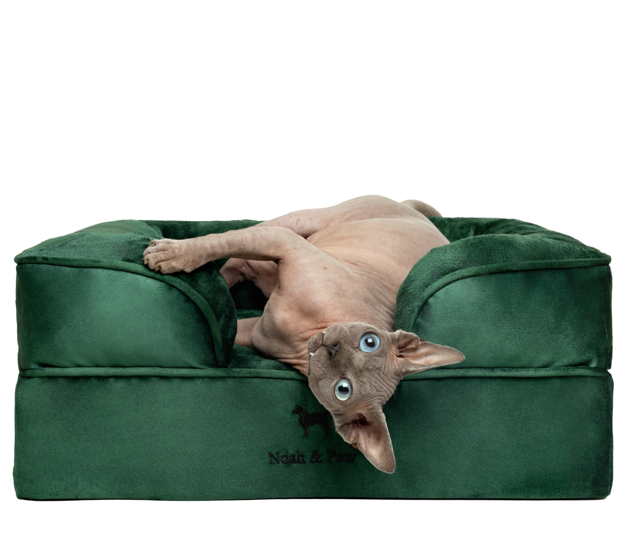 Velvet, Orthopedic Pet Bed, Sofa Style - Dark Green - S