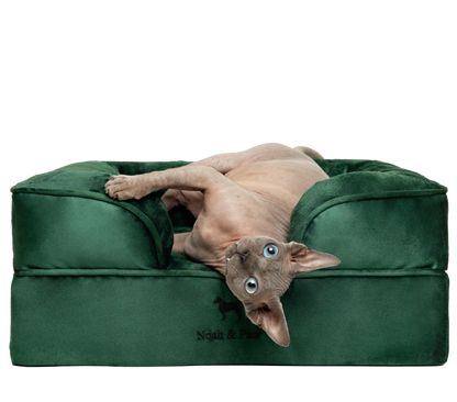 Velvet, Orthopedic Pet Bed, Sofa Style - Dark Green - S