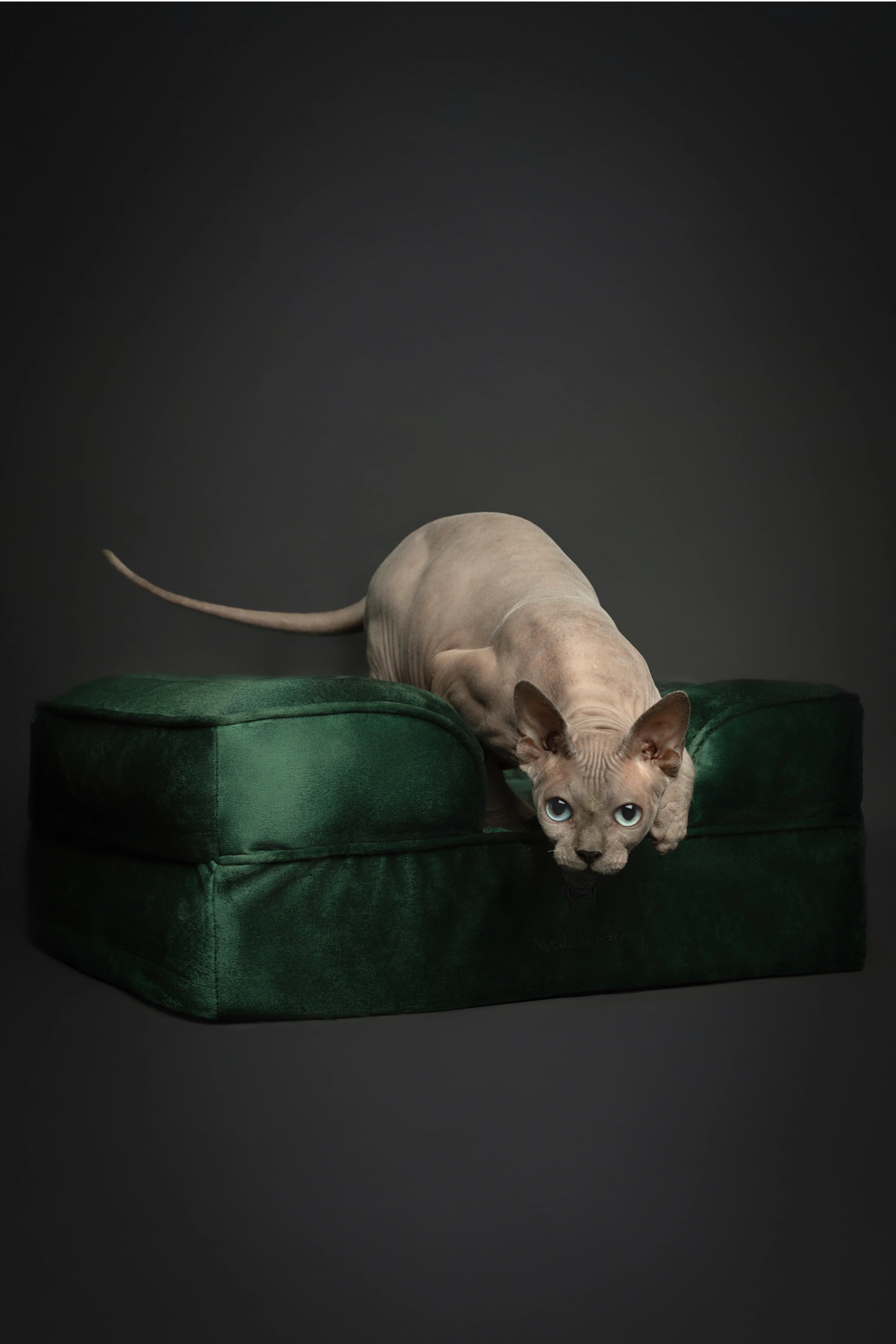 Velvet Orthopedic Pet Bed, Memory Foam, Infused with Cooling Gel