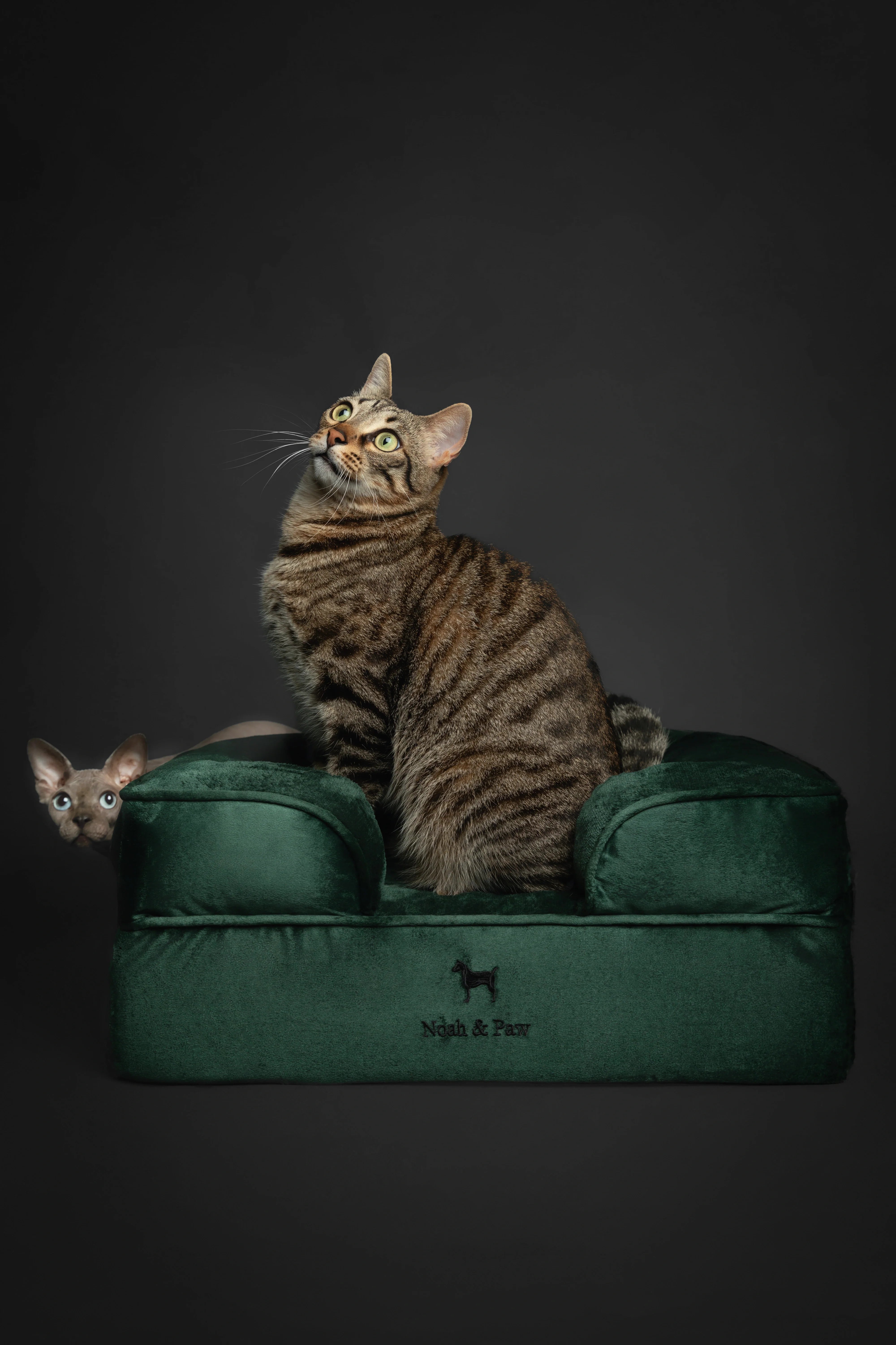 Velvet Orthopedic Pet Bed, Memory Foam, Infused with Cooling Gel