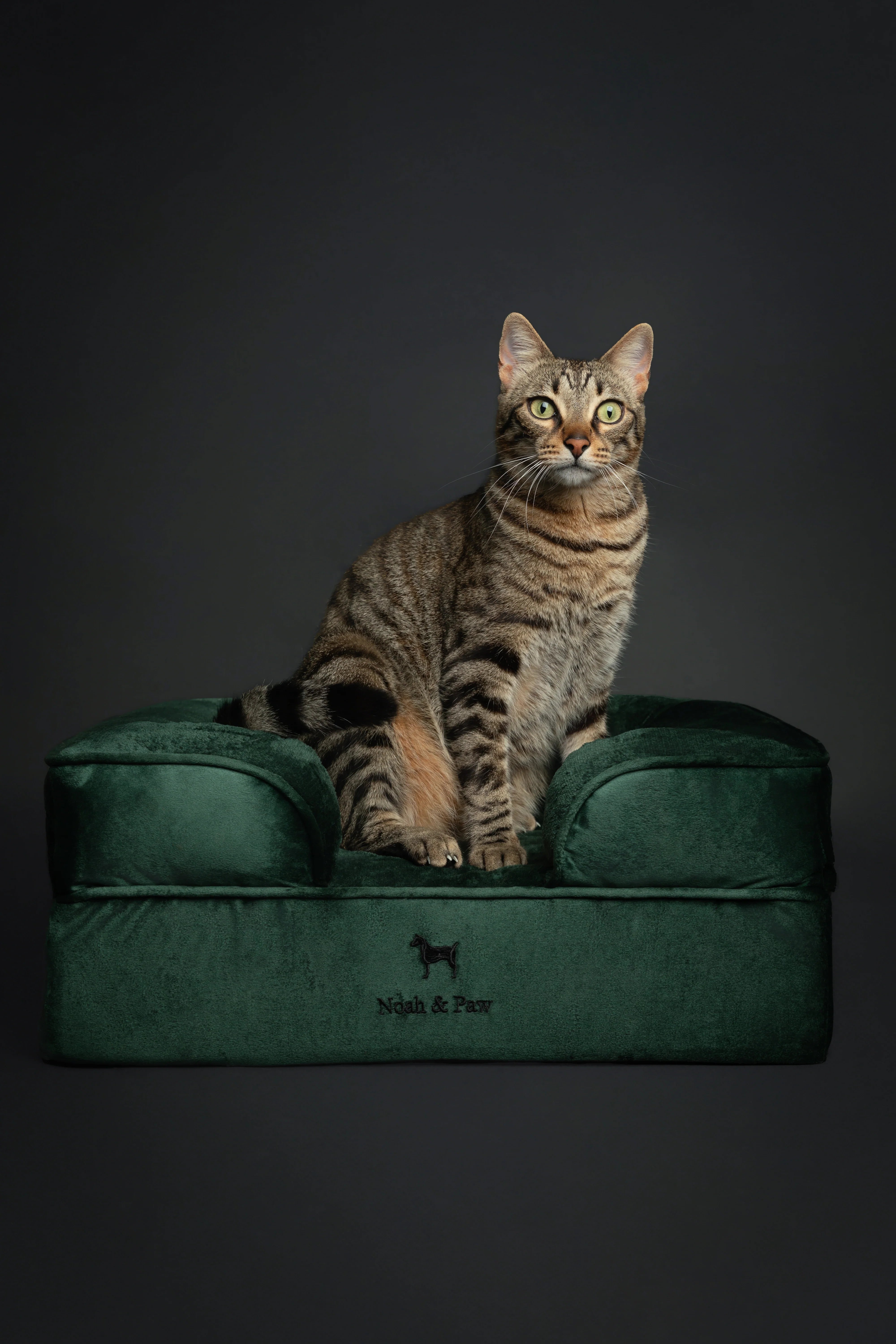 Velvet Orthopedic Pet Bed, Memory Foam, Infused with Cooling Gel
