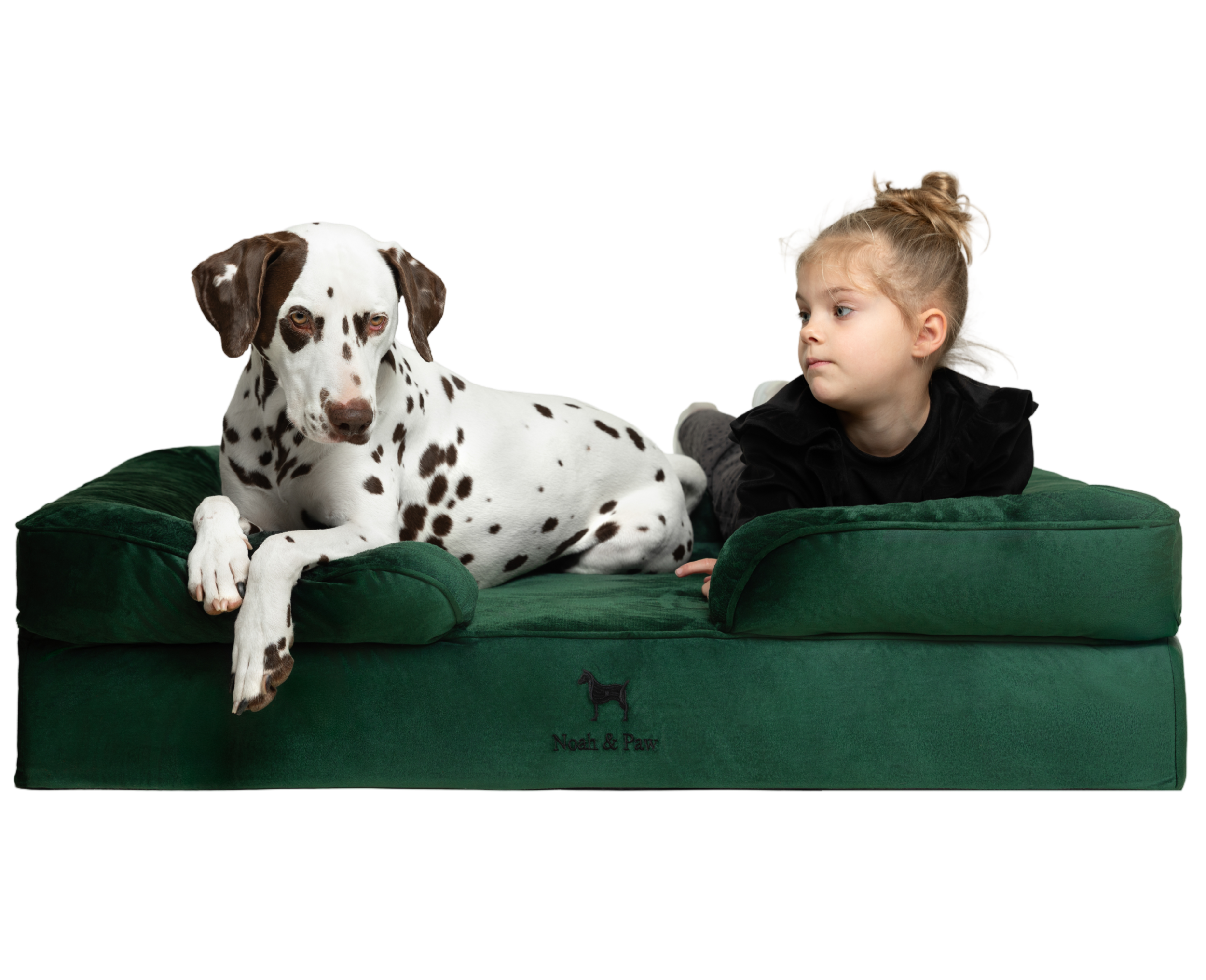 Velvet, Orthopedic Pet Bed, Sofa Style - Dark Green - XL
