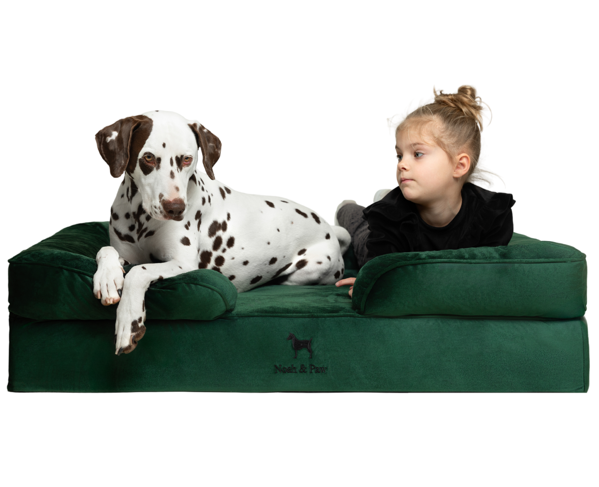 Velvet, Orthopedic Pet Bed, Sofa Style - Dark Green - XL