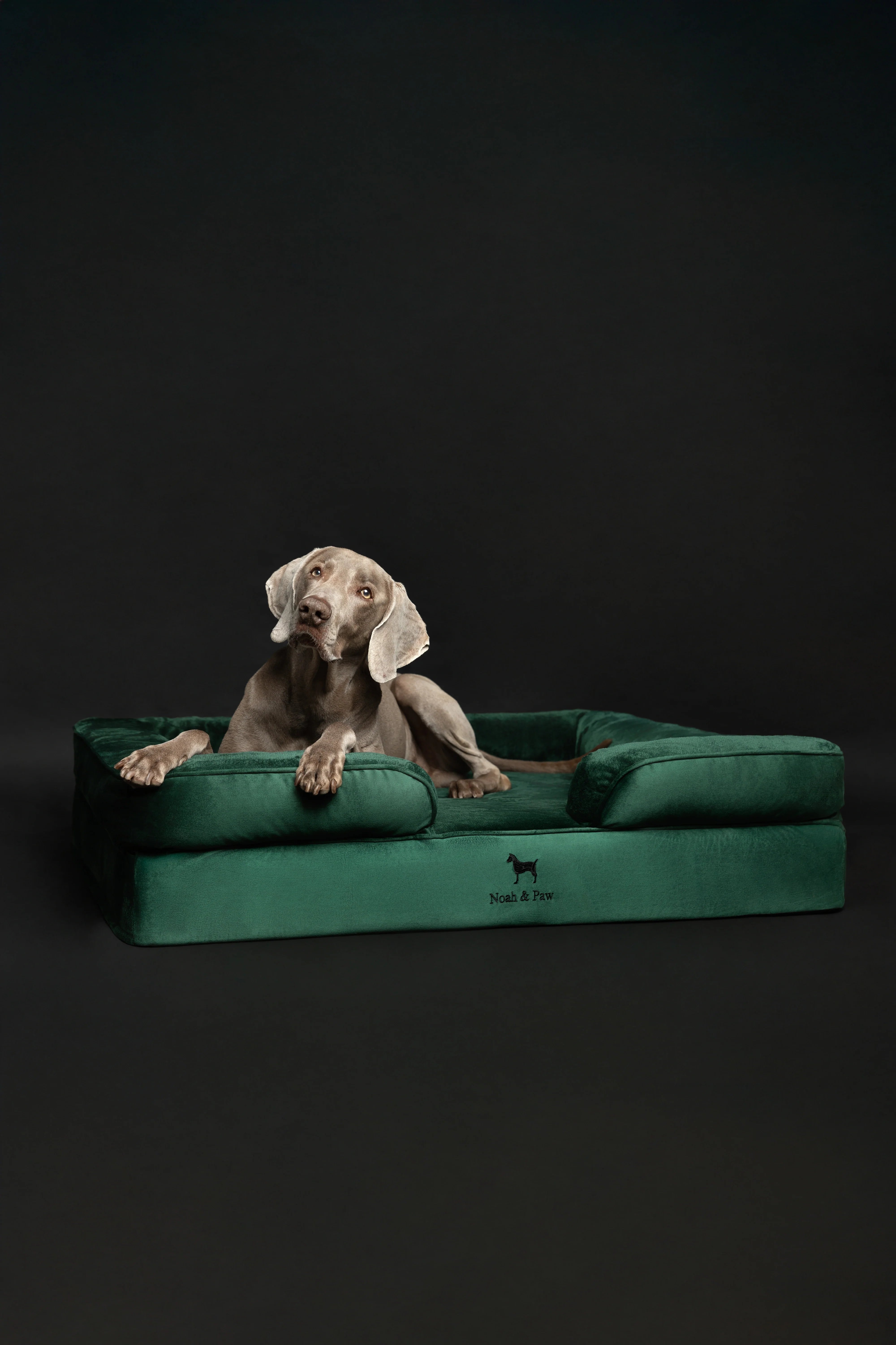 Velvet Orthopedic Pet Bed, Memory Foam, Infused with Cooling Gel