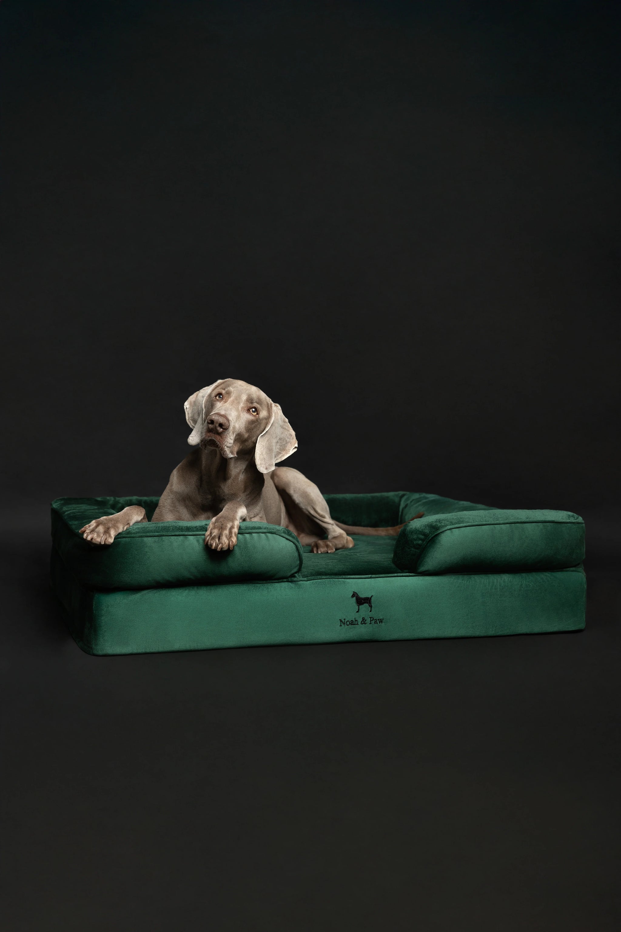 Velvet Orthopedic Pet Bed, Memory Foam, Infused with Cooling Gel