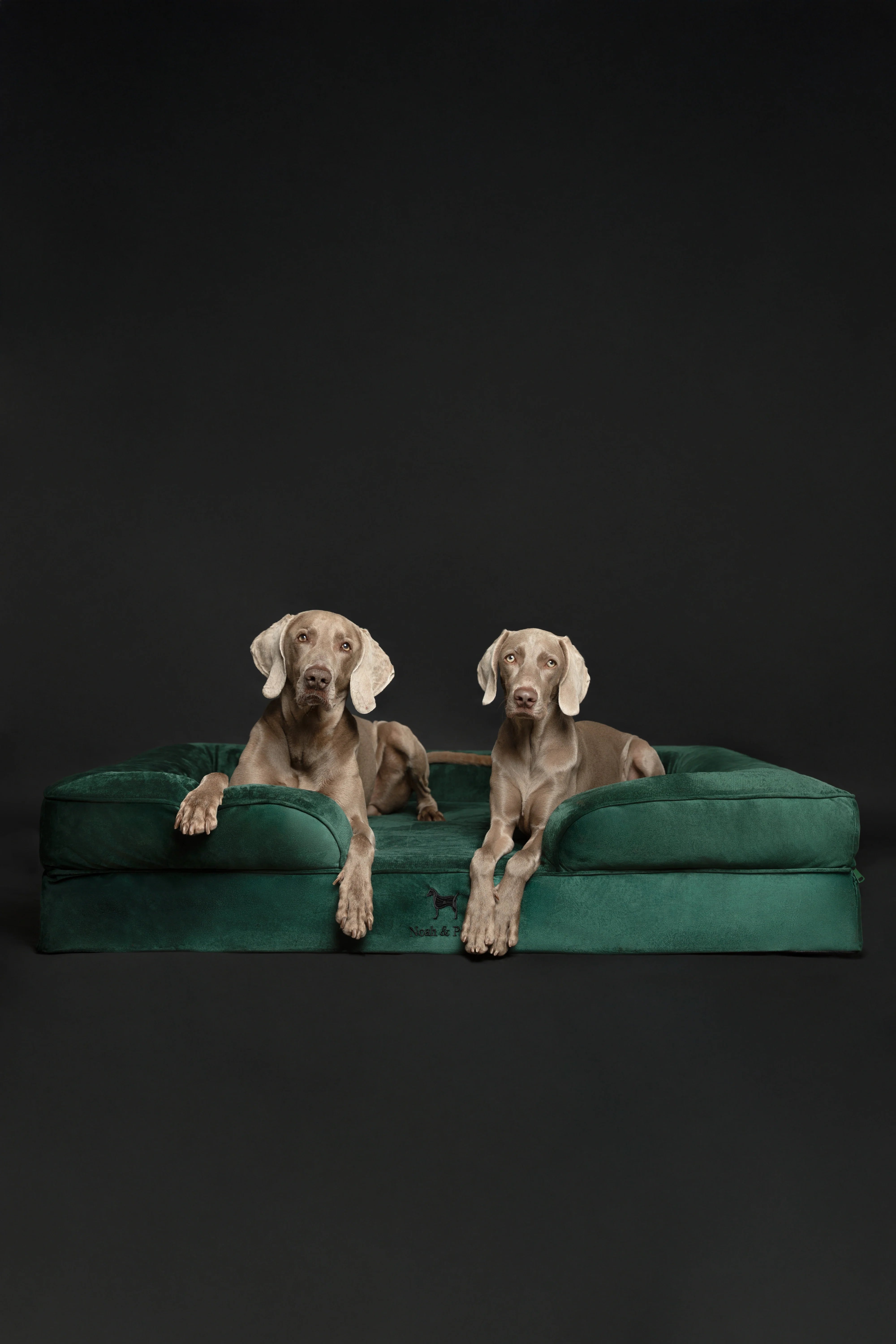 Velvet Orthopedic Pet Bed, Memory Foam, Infused with Cooling Gel