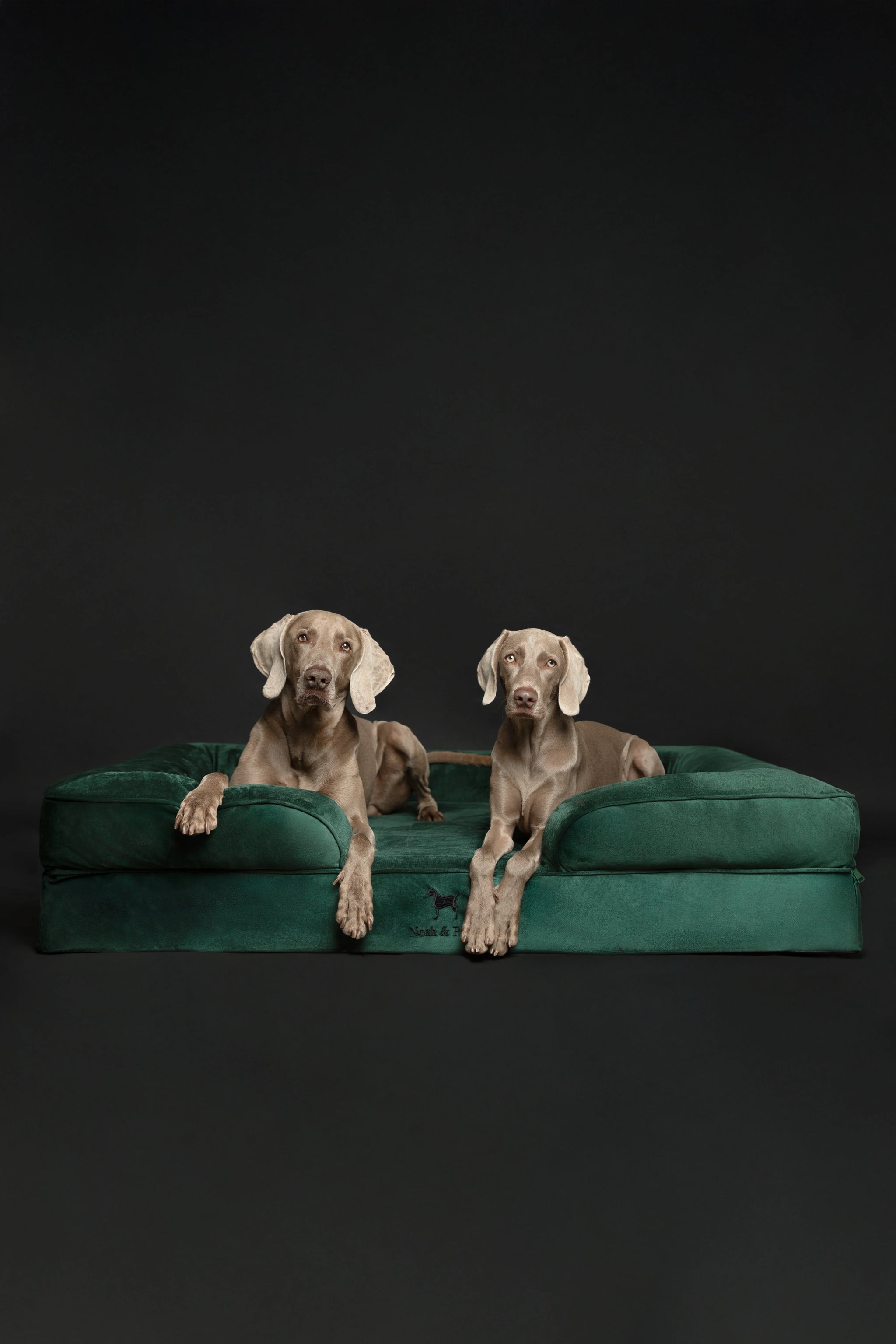 Velvet Orthopedic Pet Bed, Memory Foam, Infused with Cooling Gel