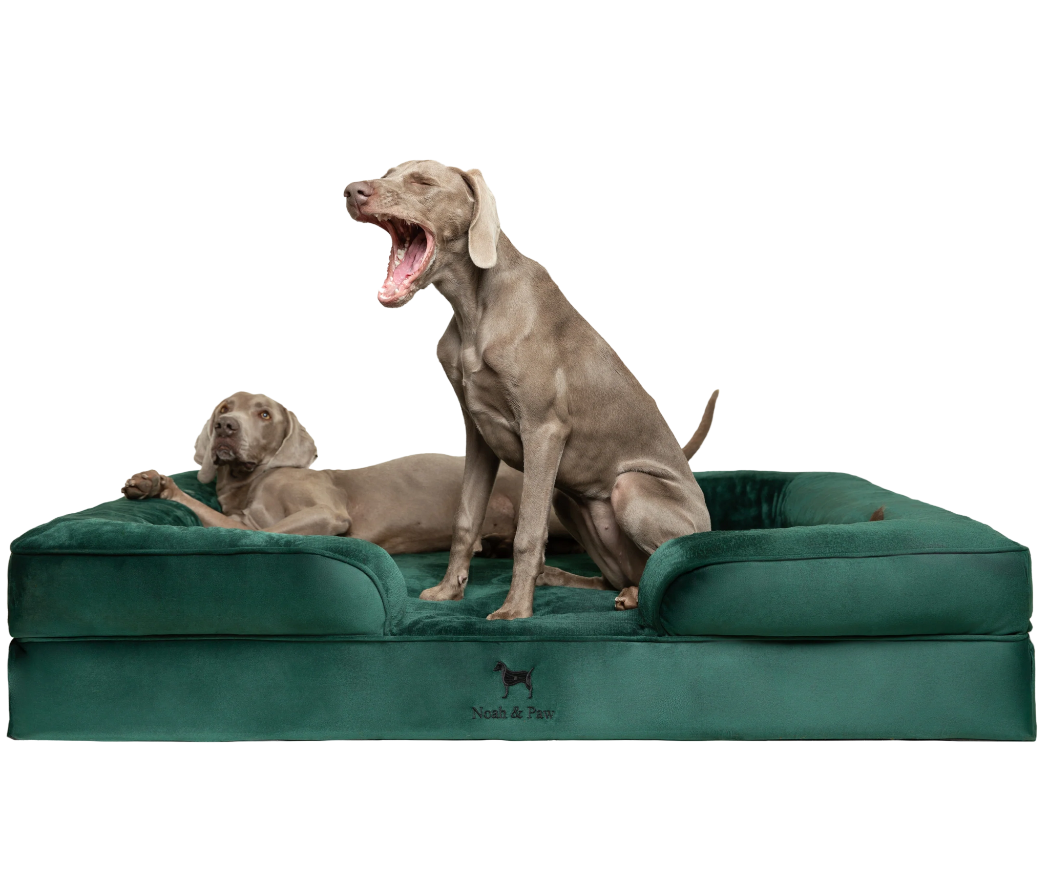 Velvet, Orthopedic Pet Bed, Sofa Style - Dark Green- XXL