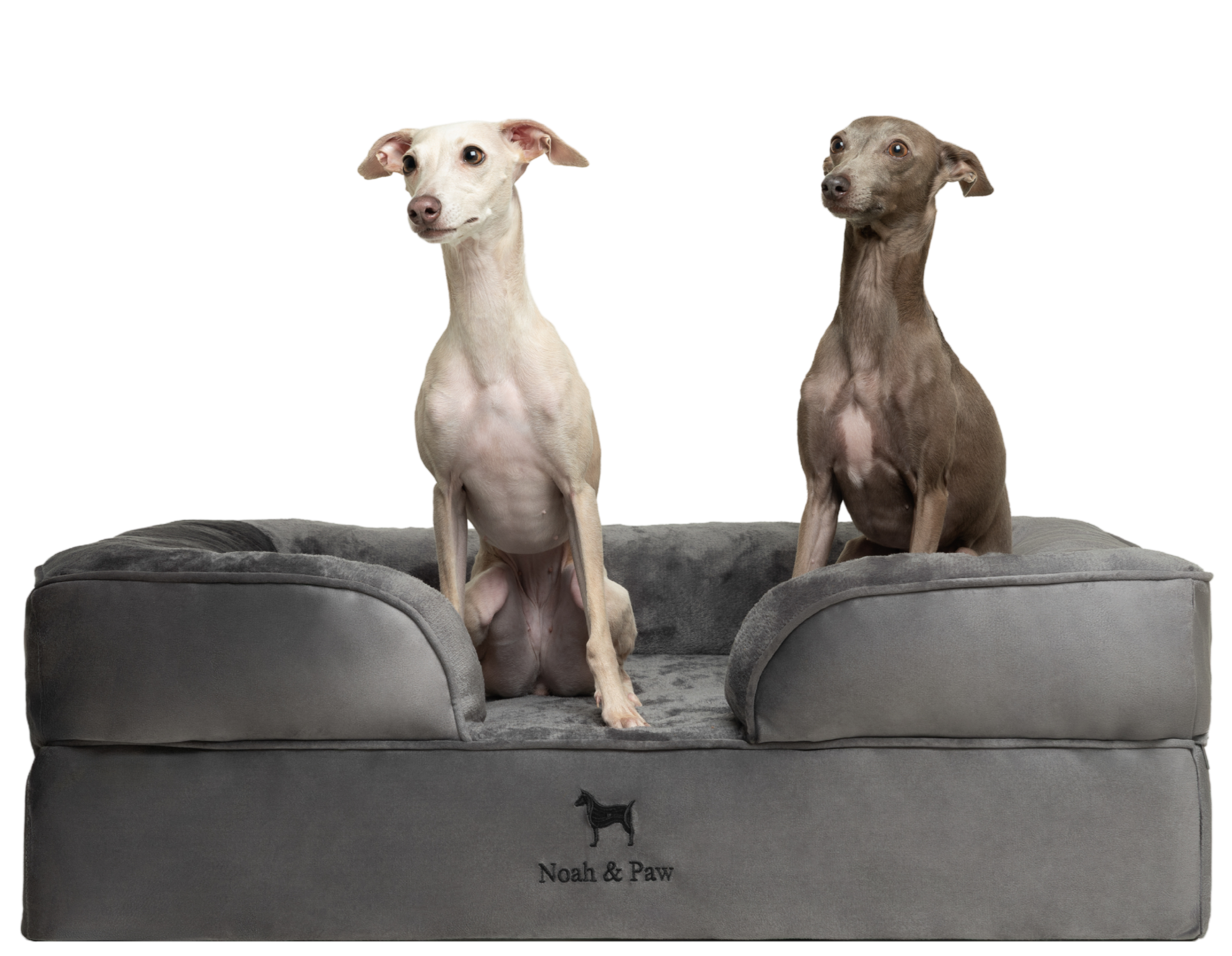 Velvet, Orthopedic Pet Bed, Sofa Style - Grey - L