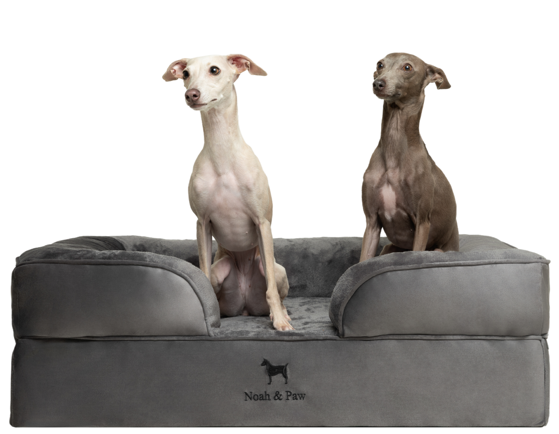 Velvet, Orthopedic Pet Bed, Sofa Style - Grey - L