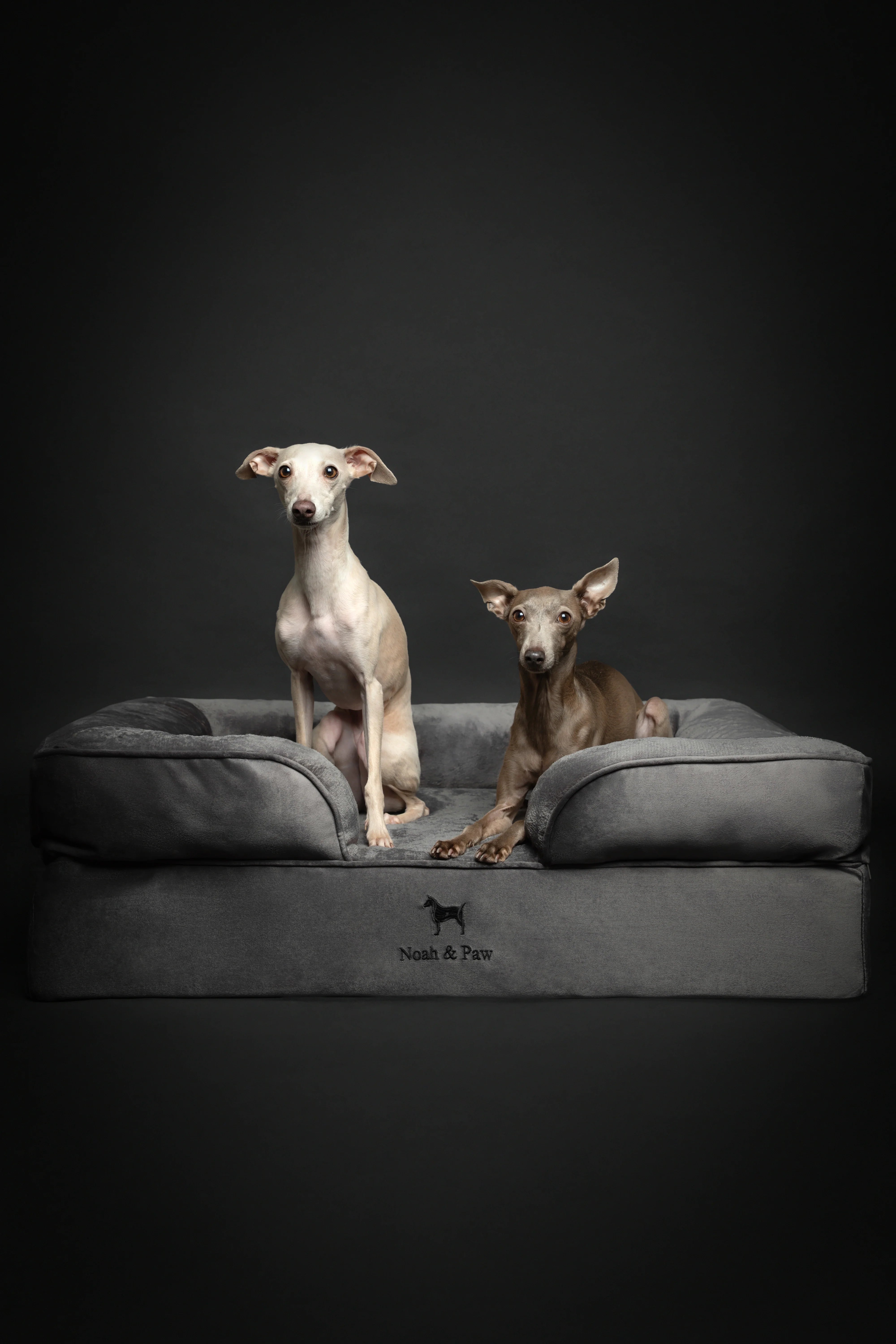 Velvet Orthopedic Pet Bed, Memory Foam, Infused with Cooling Gel