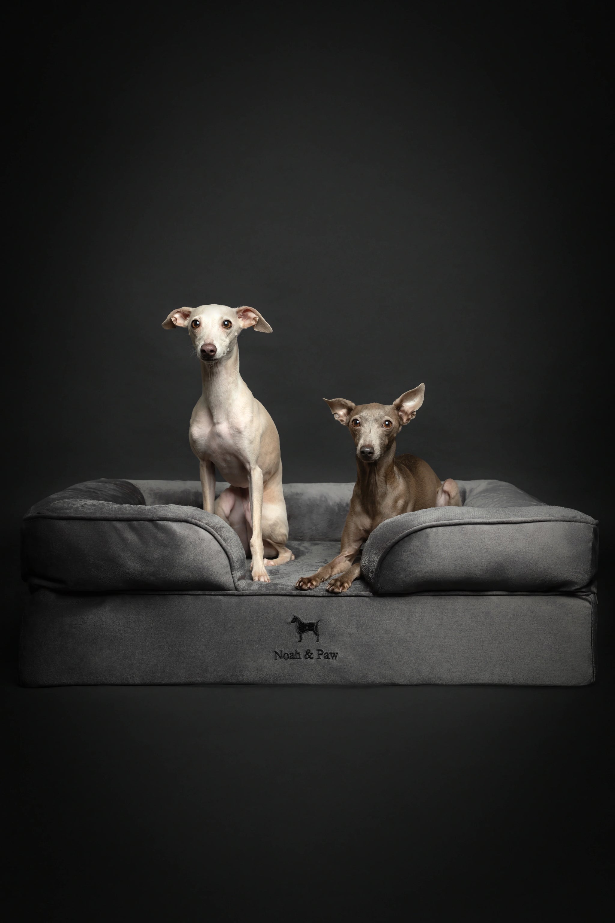 Velvet Orthopedic Pet Bed, Memory Foam, Infused with Cooling Gel