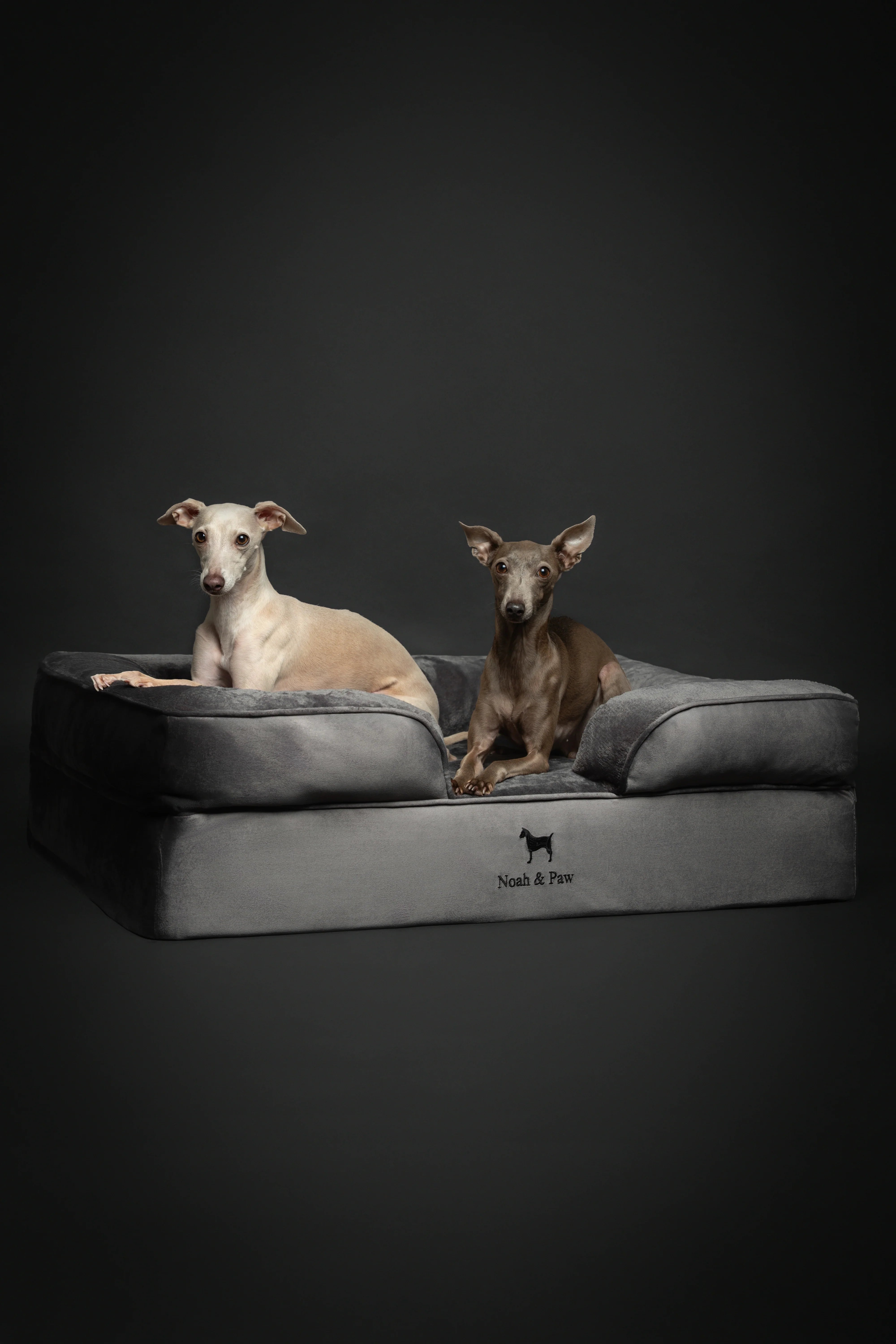 Velvet Orthopedic Pet Bed, Memory Foam, Infused with Cooling Gel