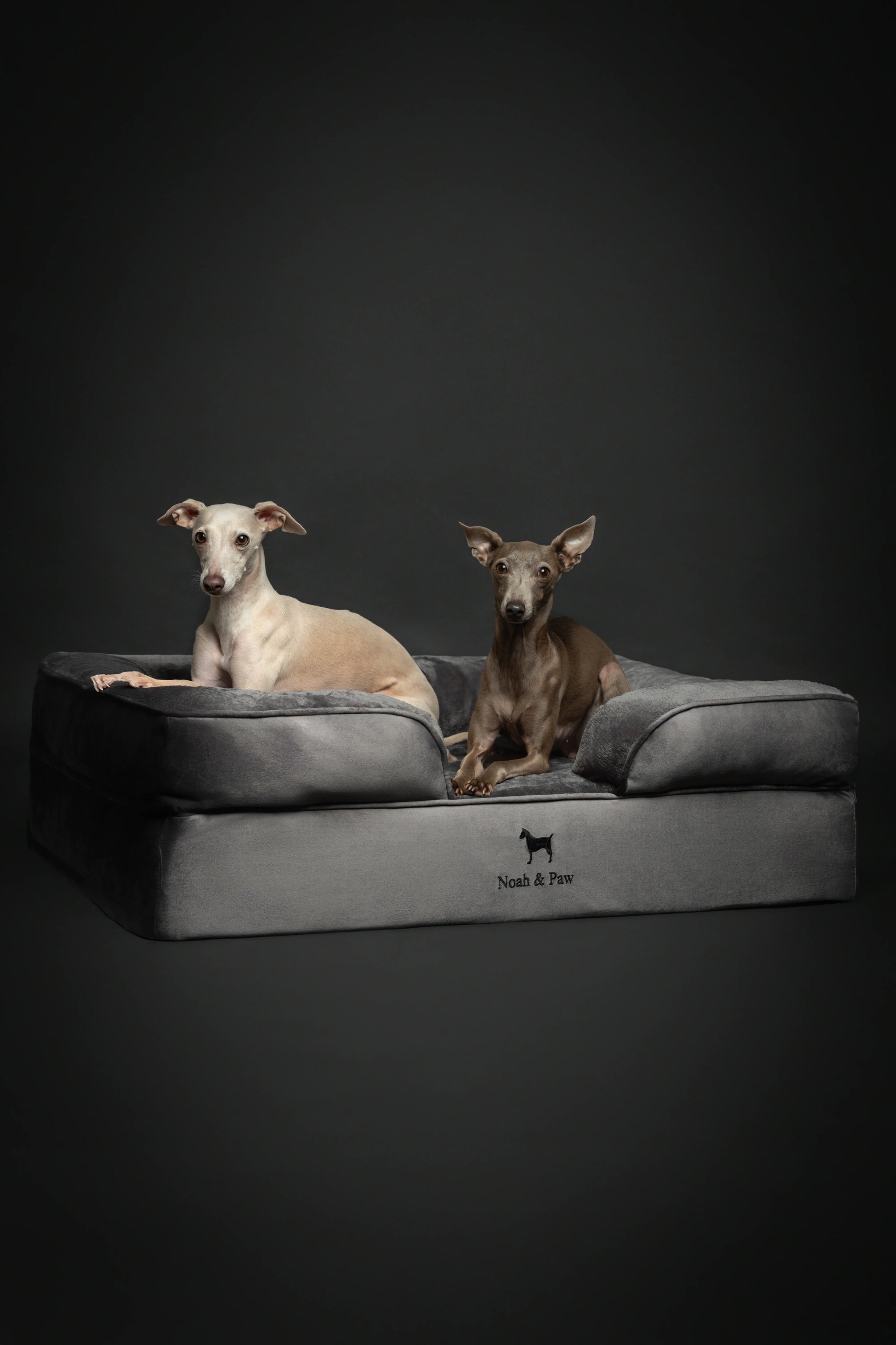 Velvet Orthopedic Pet Bed, Memory Foam, Infused with Cooling Gel