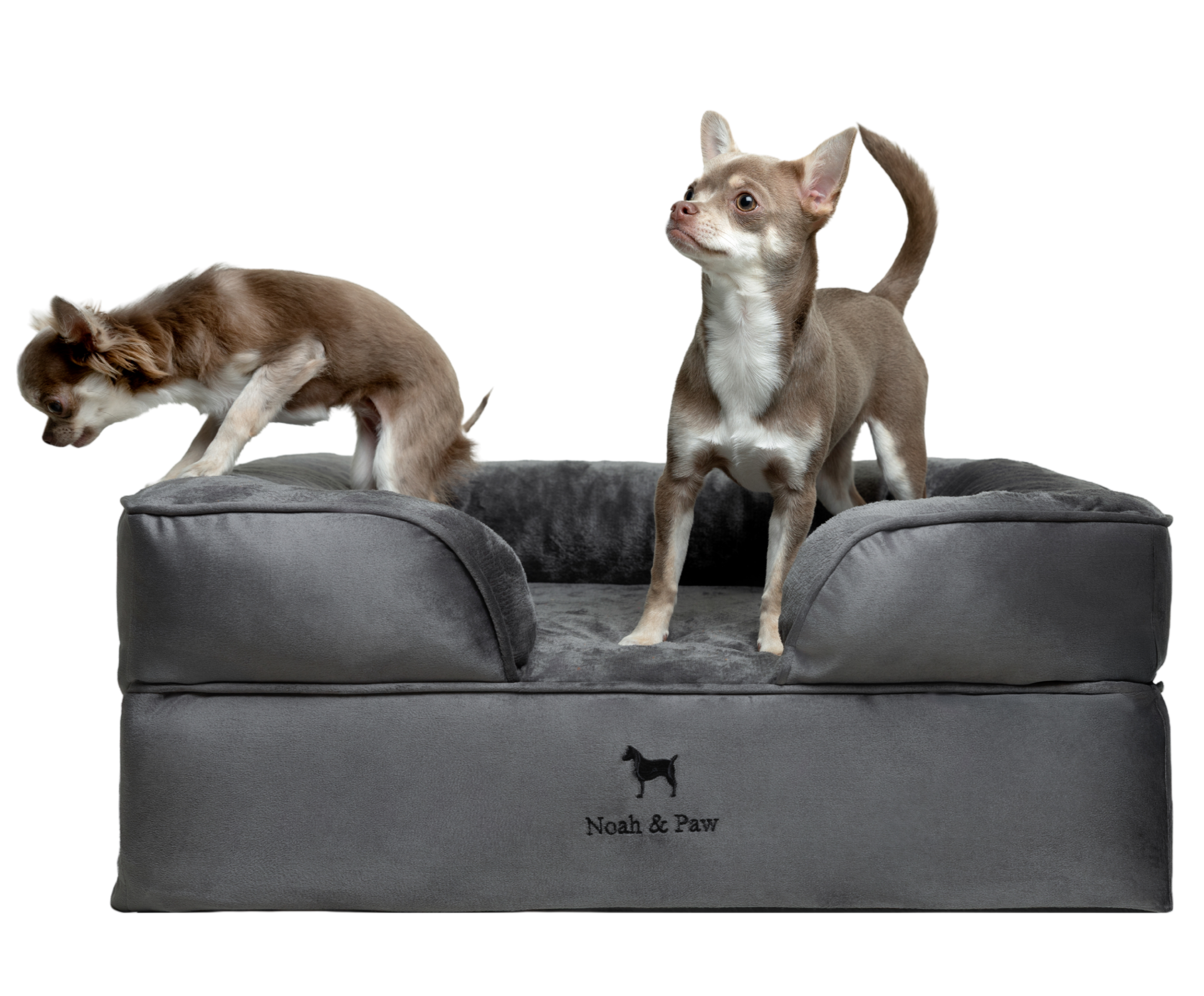 Velvet, Orthopedic Pet Bed, Sofa Style - Grey - M