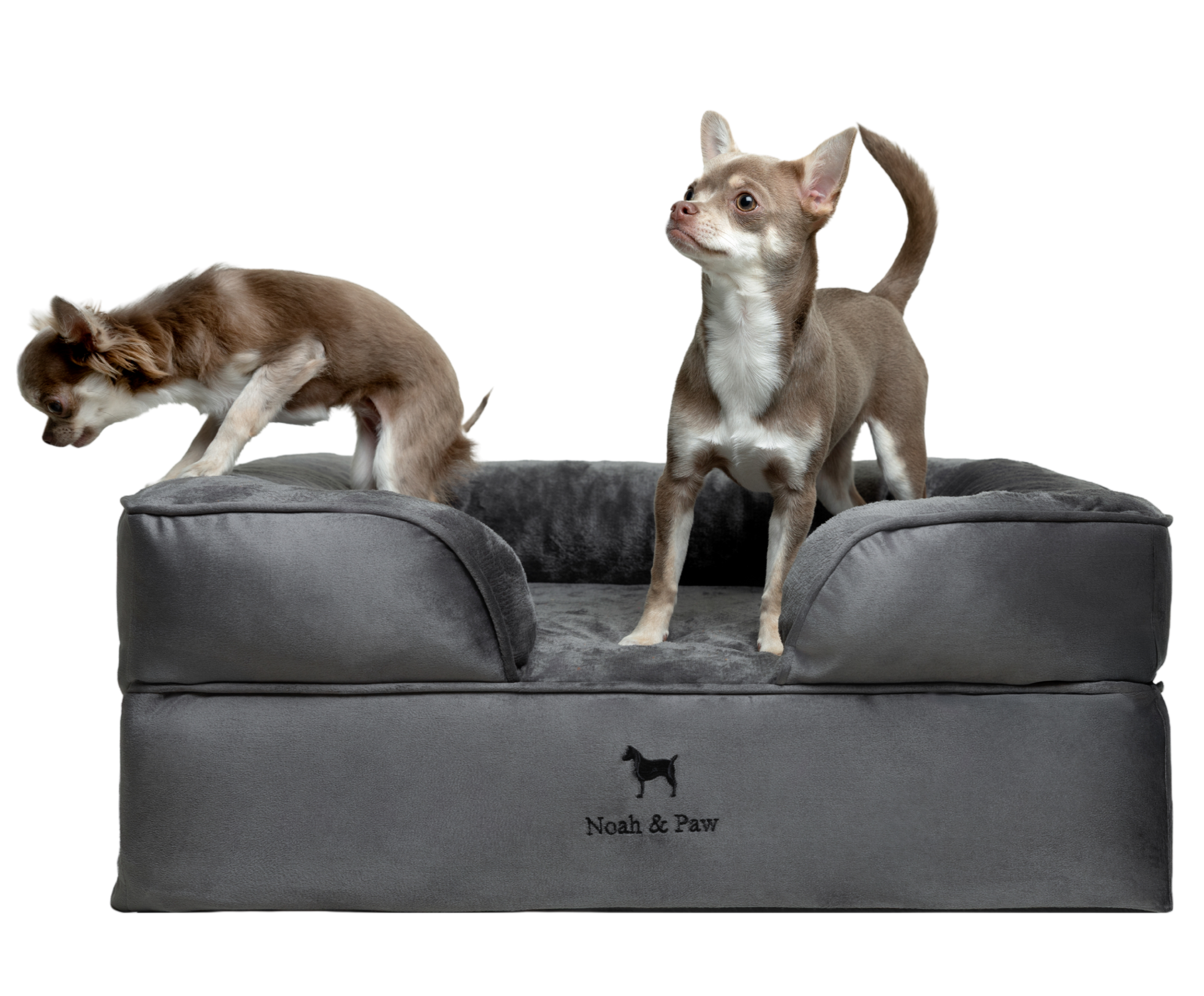 Velvet, Orthopedic Pet Bed, Sofa Style - Grey - M