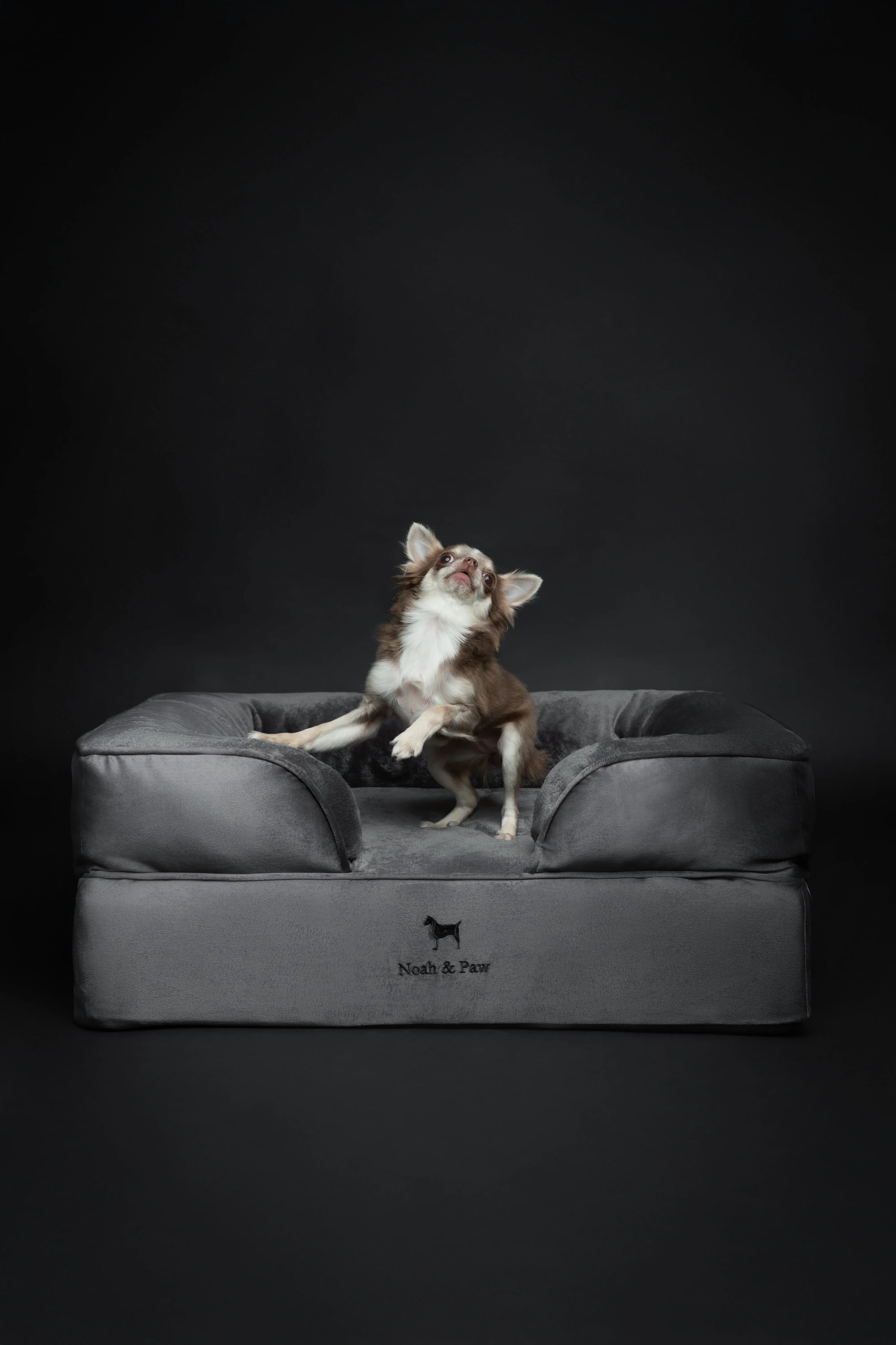 Velvet Orthopedic Pet Bed, Memory Foam, Infused with Cooling Gel