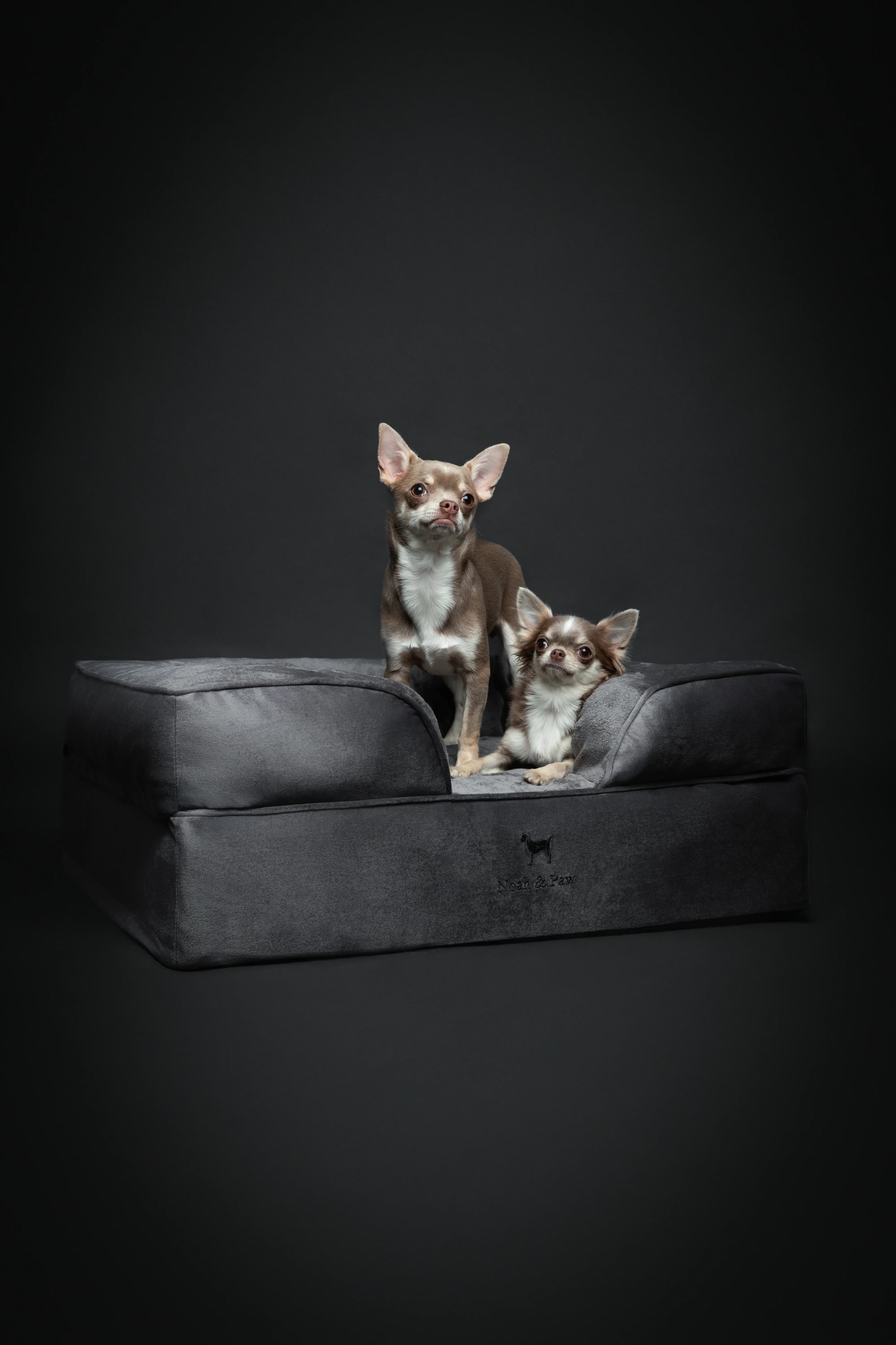 Velvet Orthopedic Pet Bed, Memory Foam, Infused with Cooling Gel