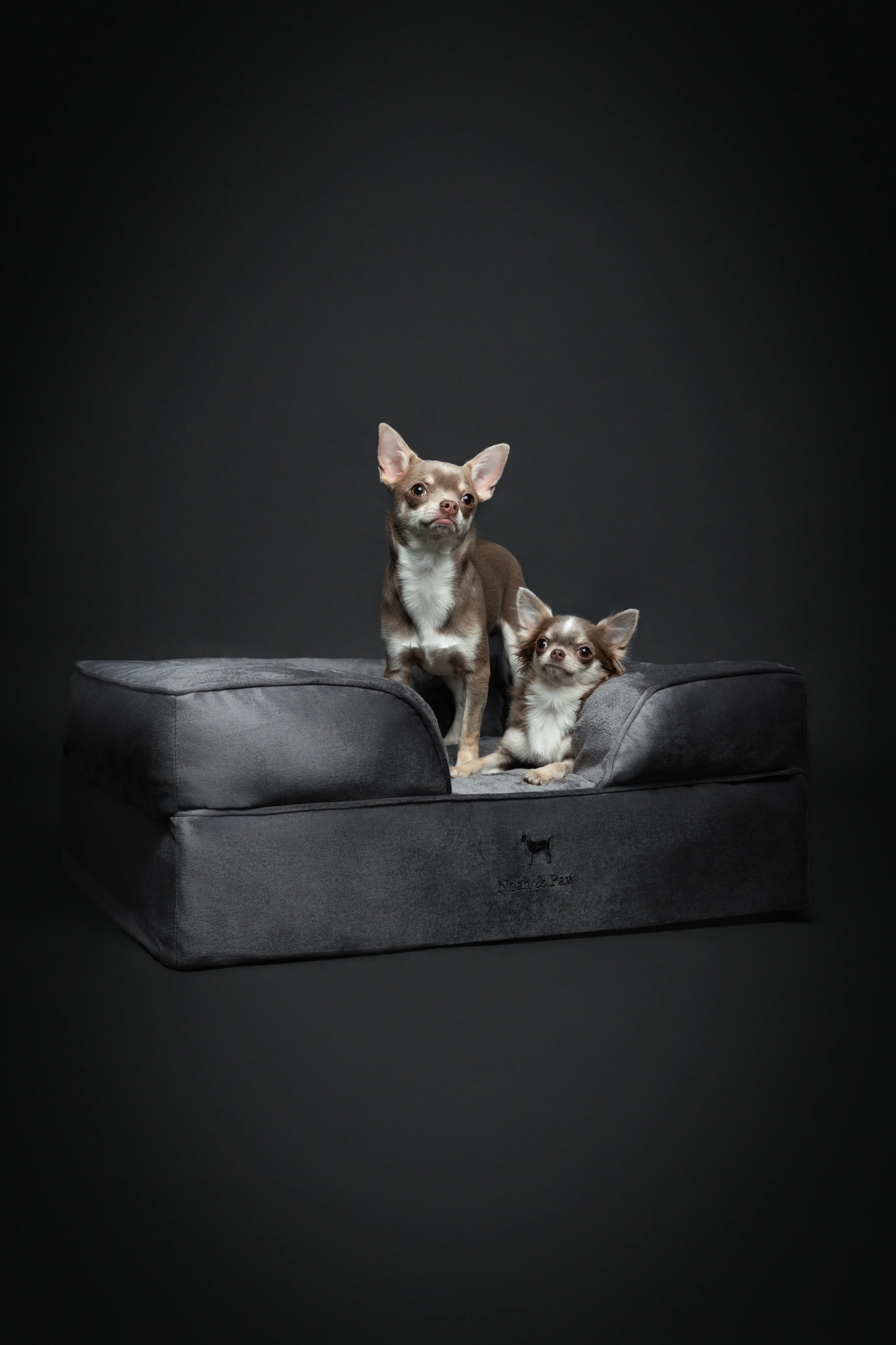 Velvet Orthopedic Pet Bed, Memory Foam, Infused with Cooling Gel